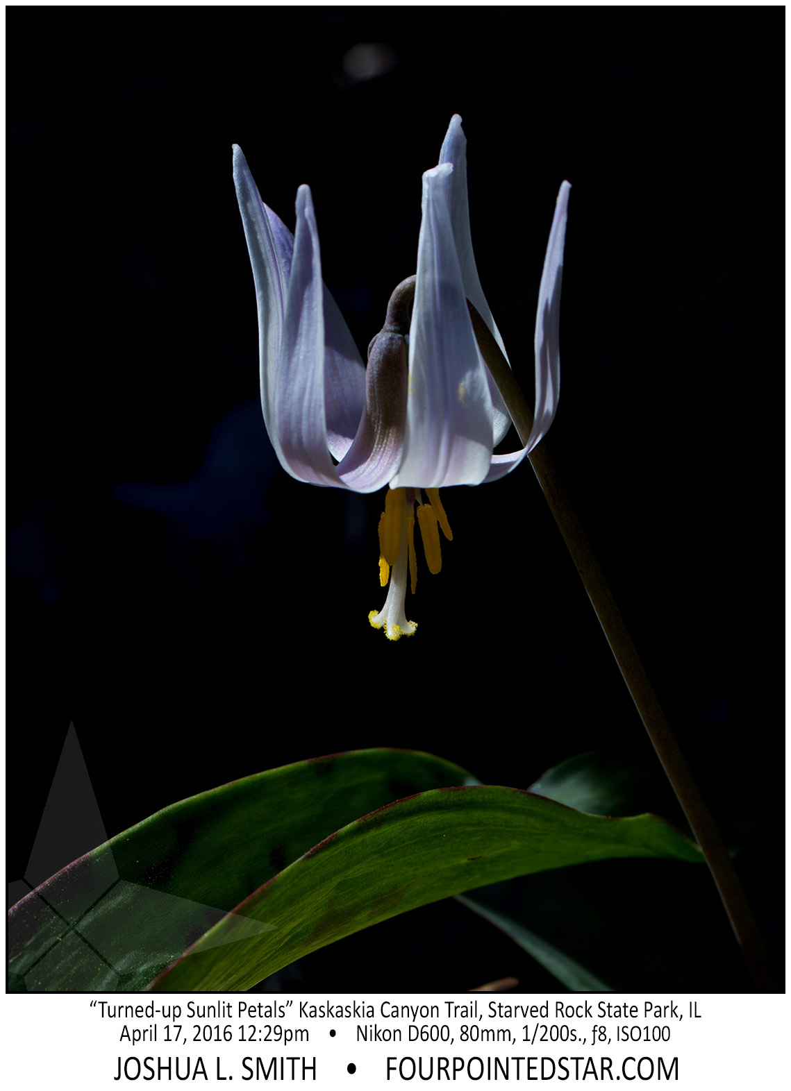 AL0398 160417 122908