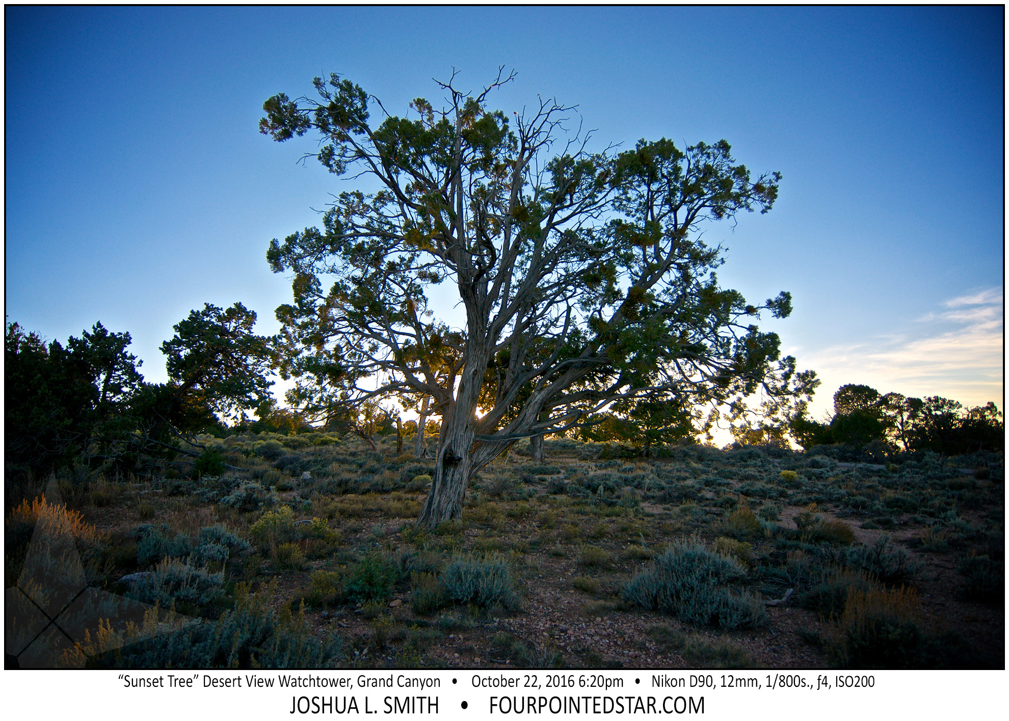 AN1638 161022 192029