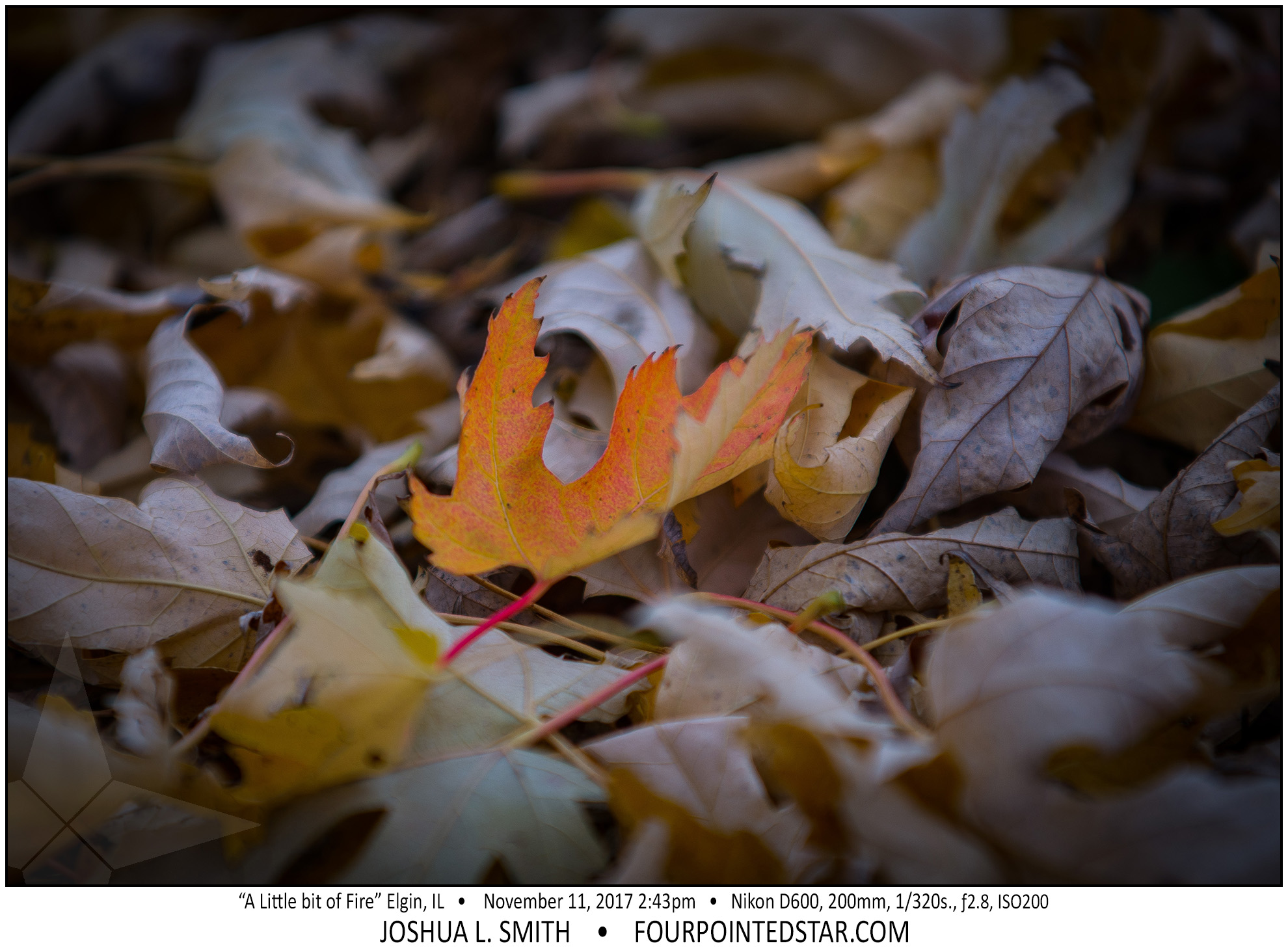 AR5675 171111 144315