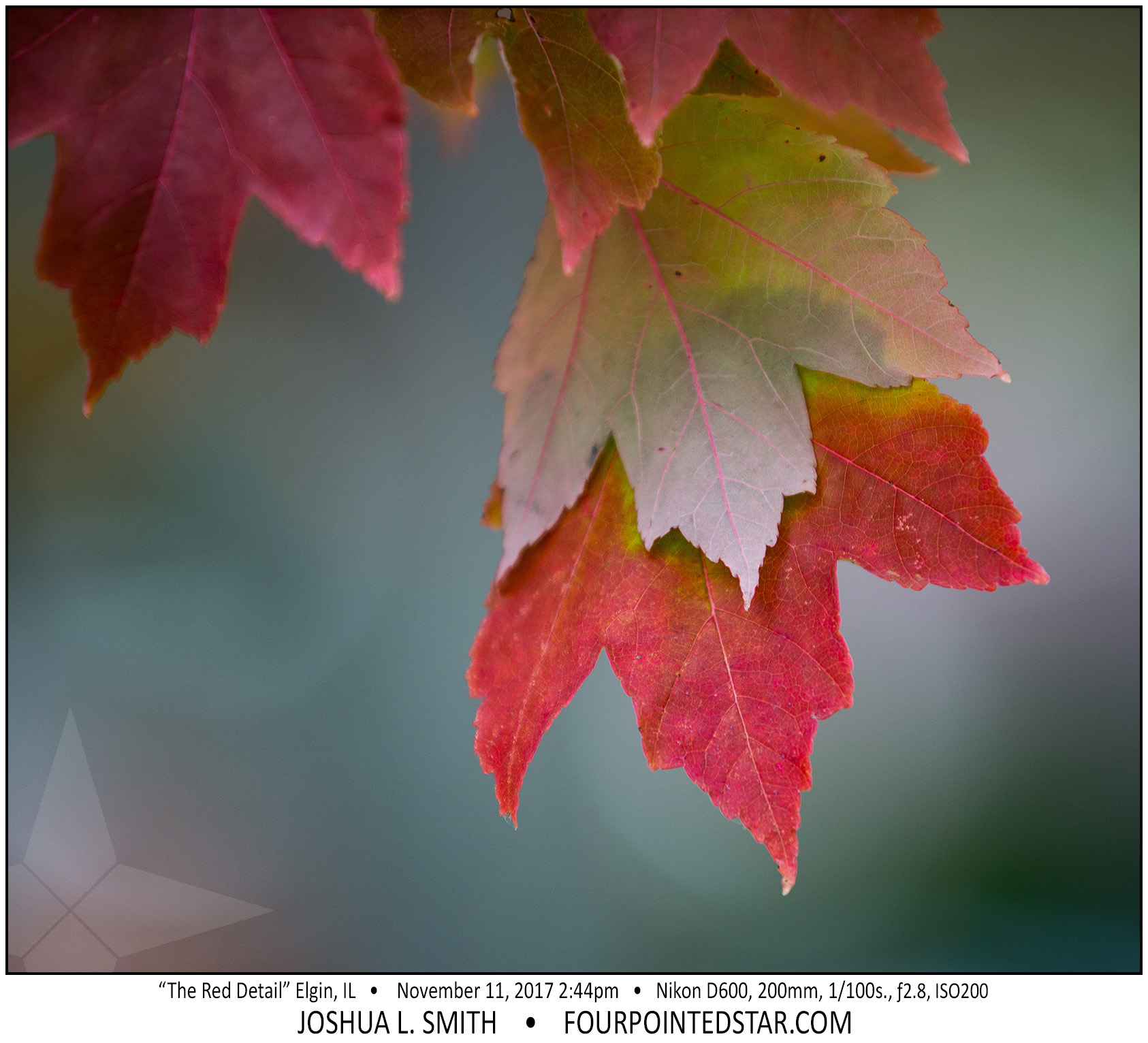 AR5678 171111 144400