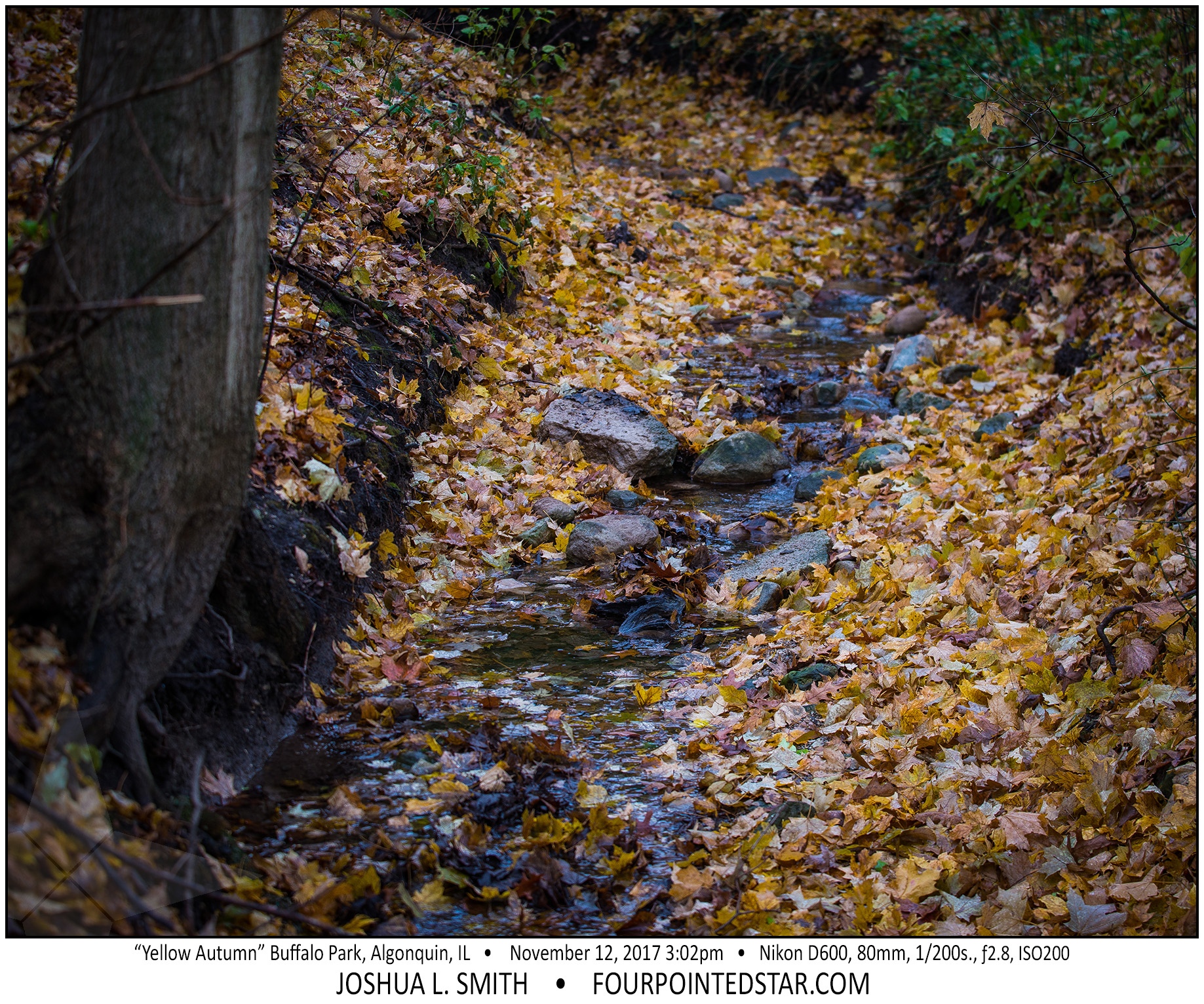 AR5772 171112 150223