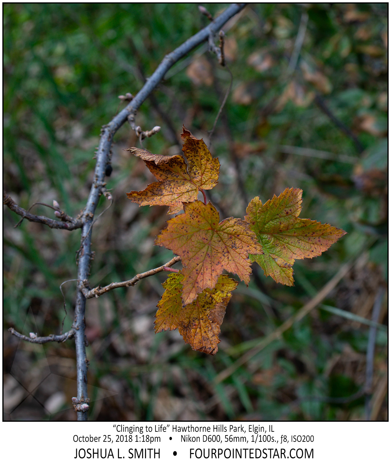 AY0204 181025 131842