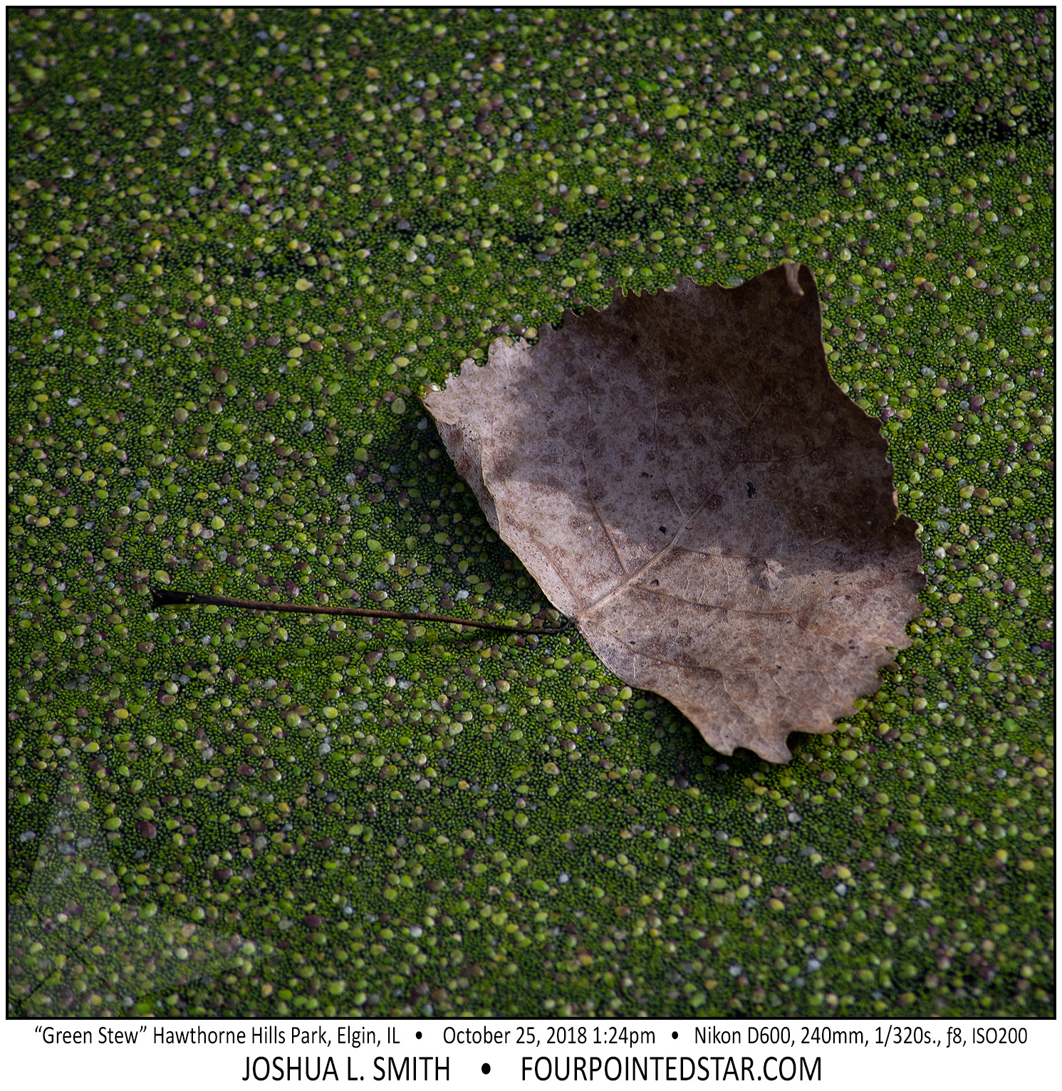 AY0220 181025 132422