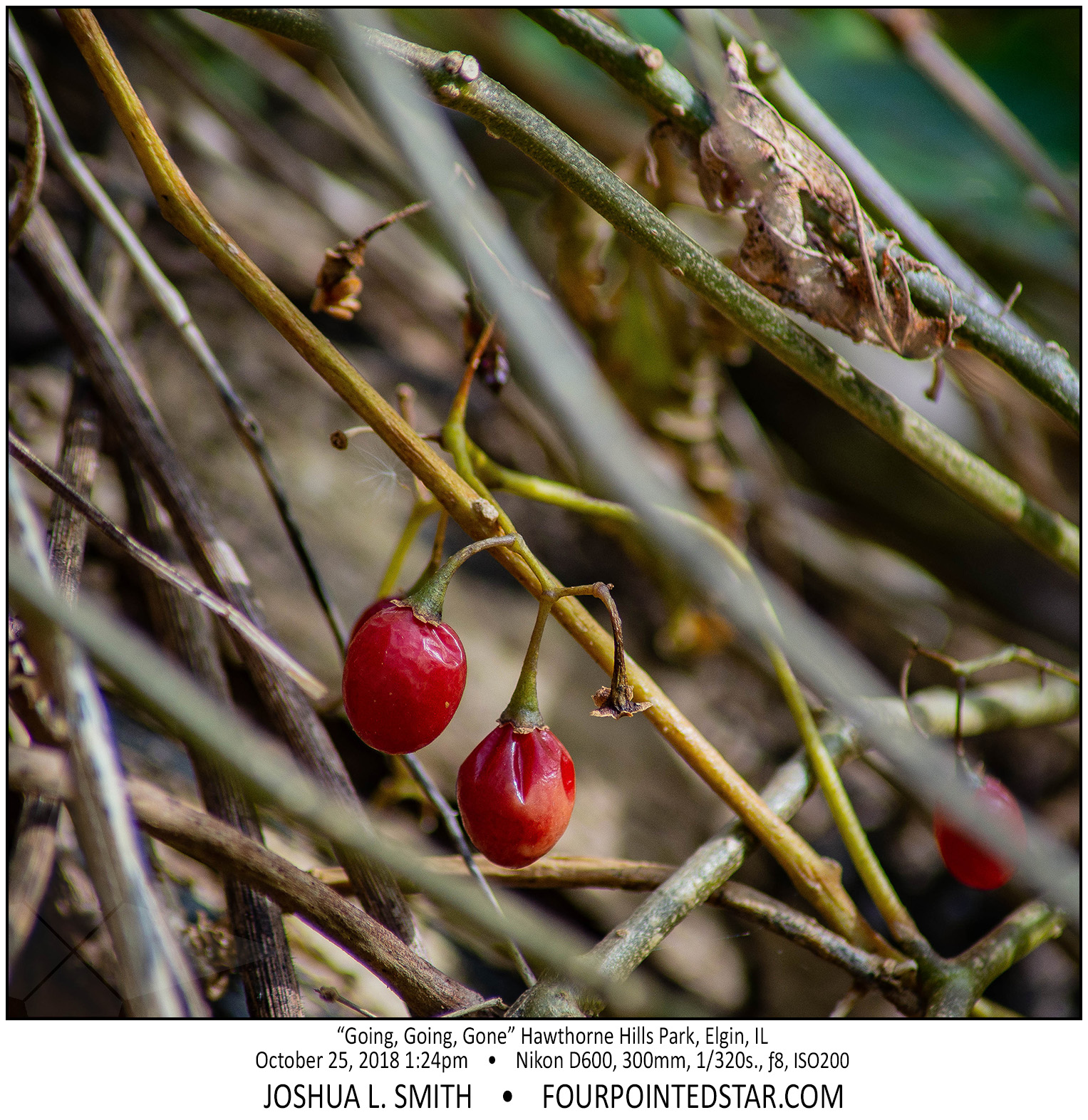 AY0226 181025 132459