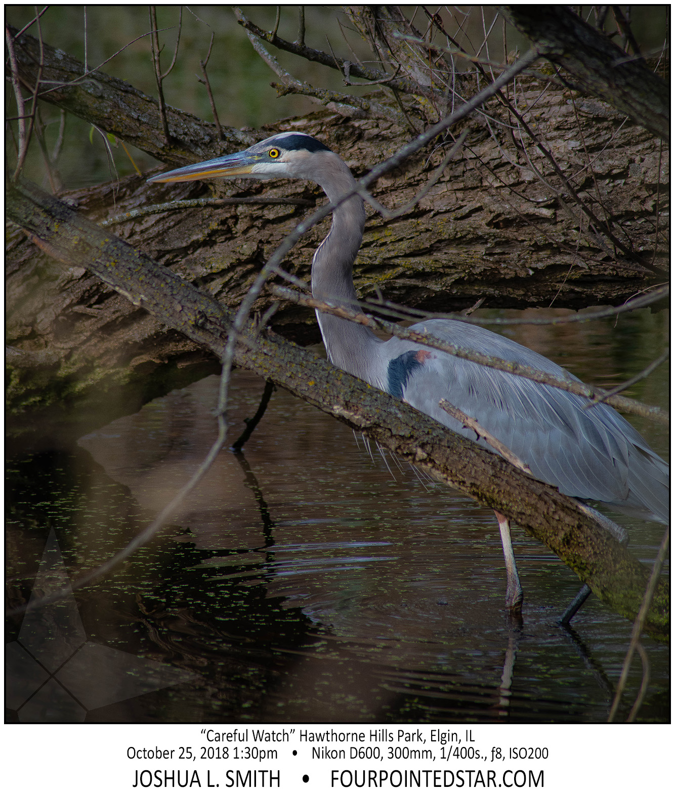 AY0244 181025 133036