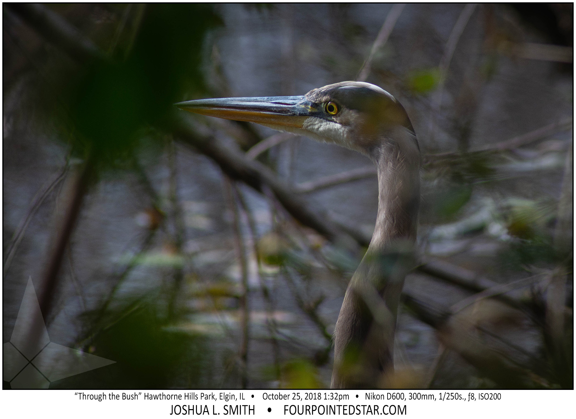 AY0265 181025 133255