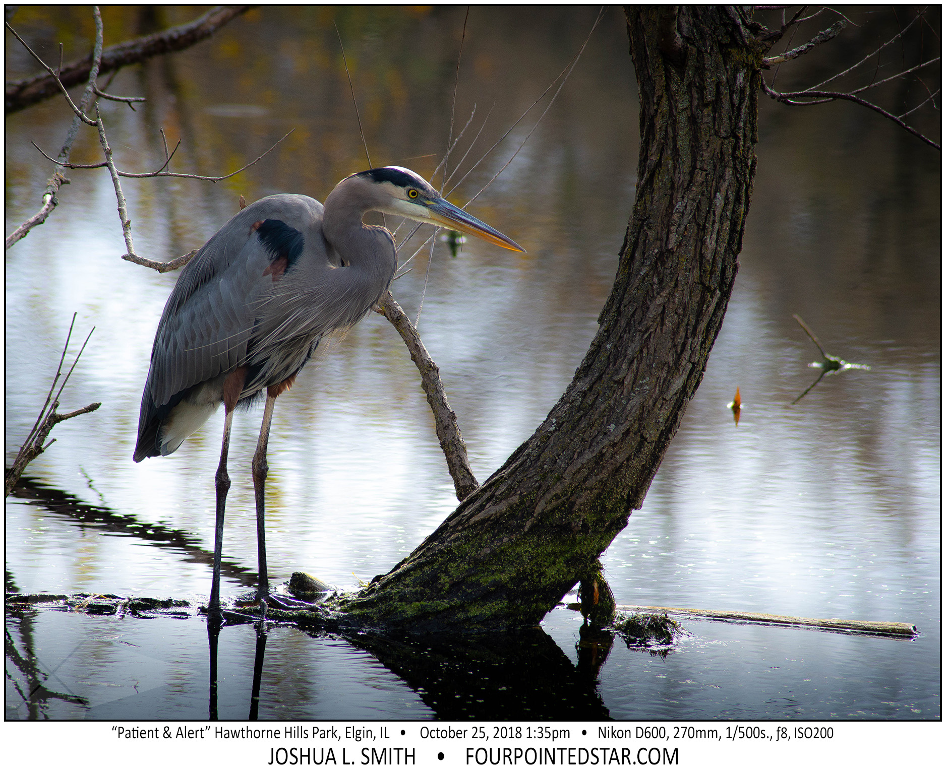 AY0331 181025 133515