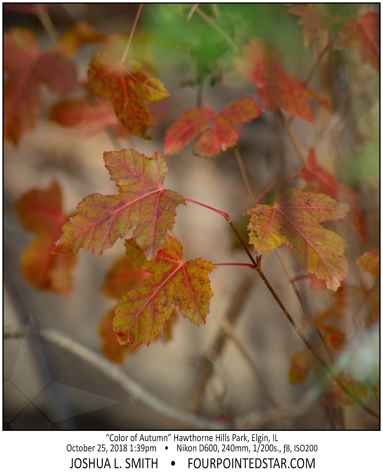 AY0397 181025 133935