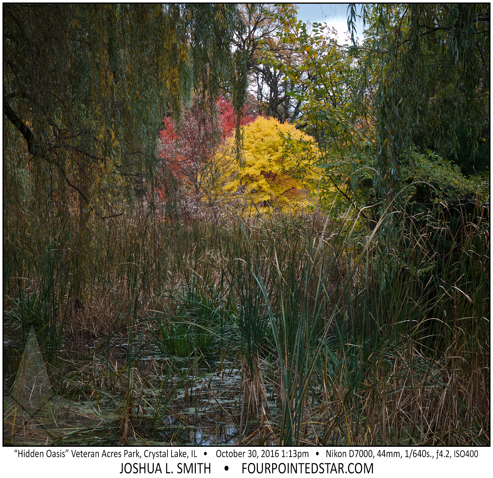 AL5451 161030 131319