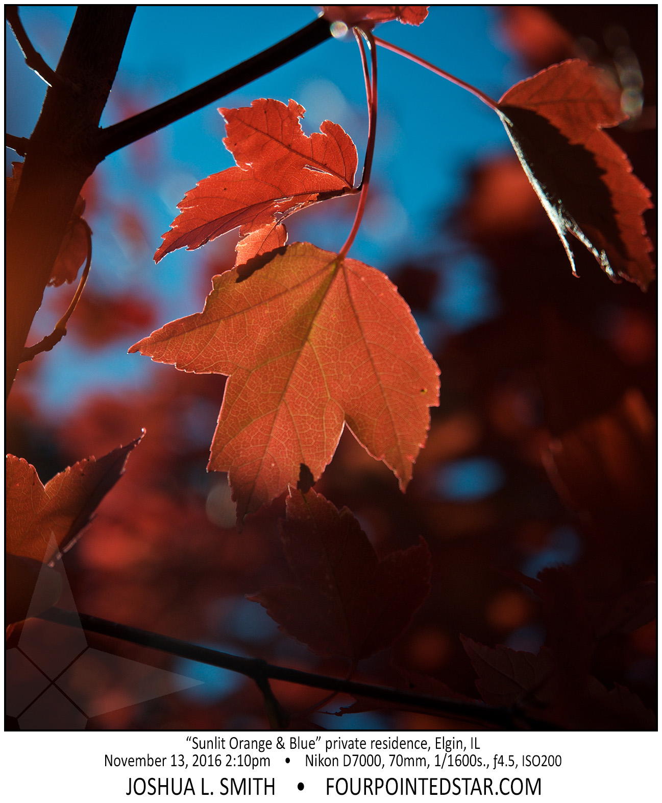 AL5616 161113 141057