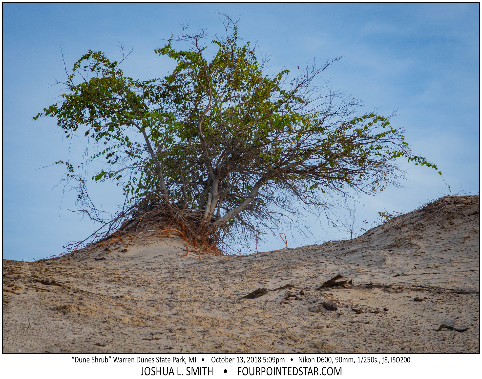 AX9596 181013 170917