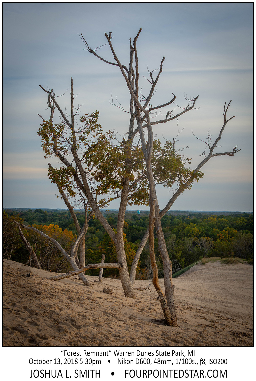 AX9656 181013 173003