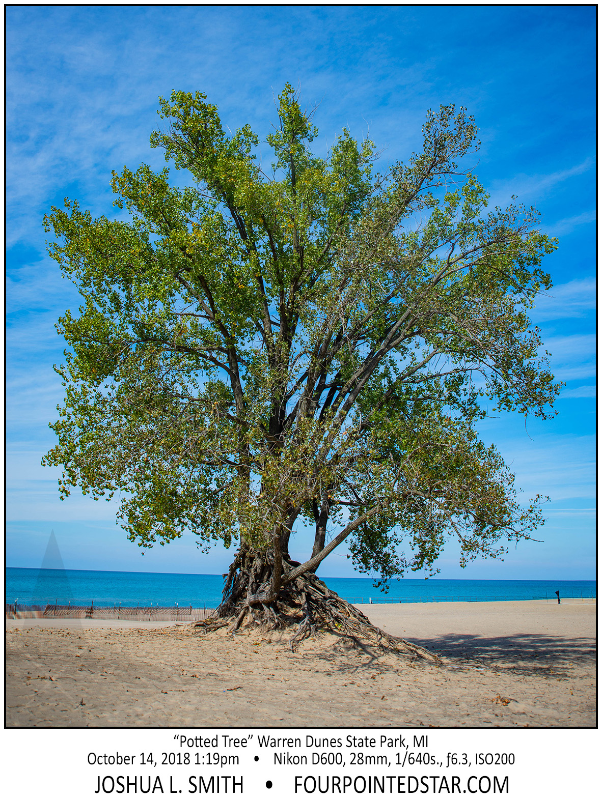 AX9907 181014 131912