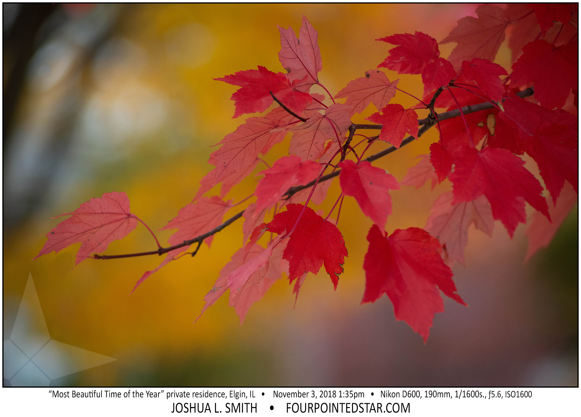 AY0939 181103 133555