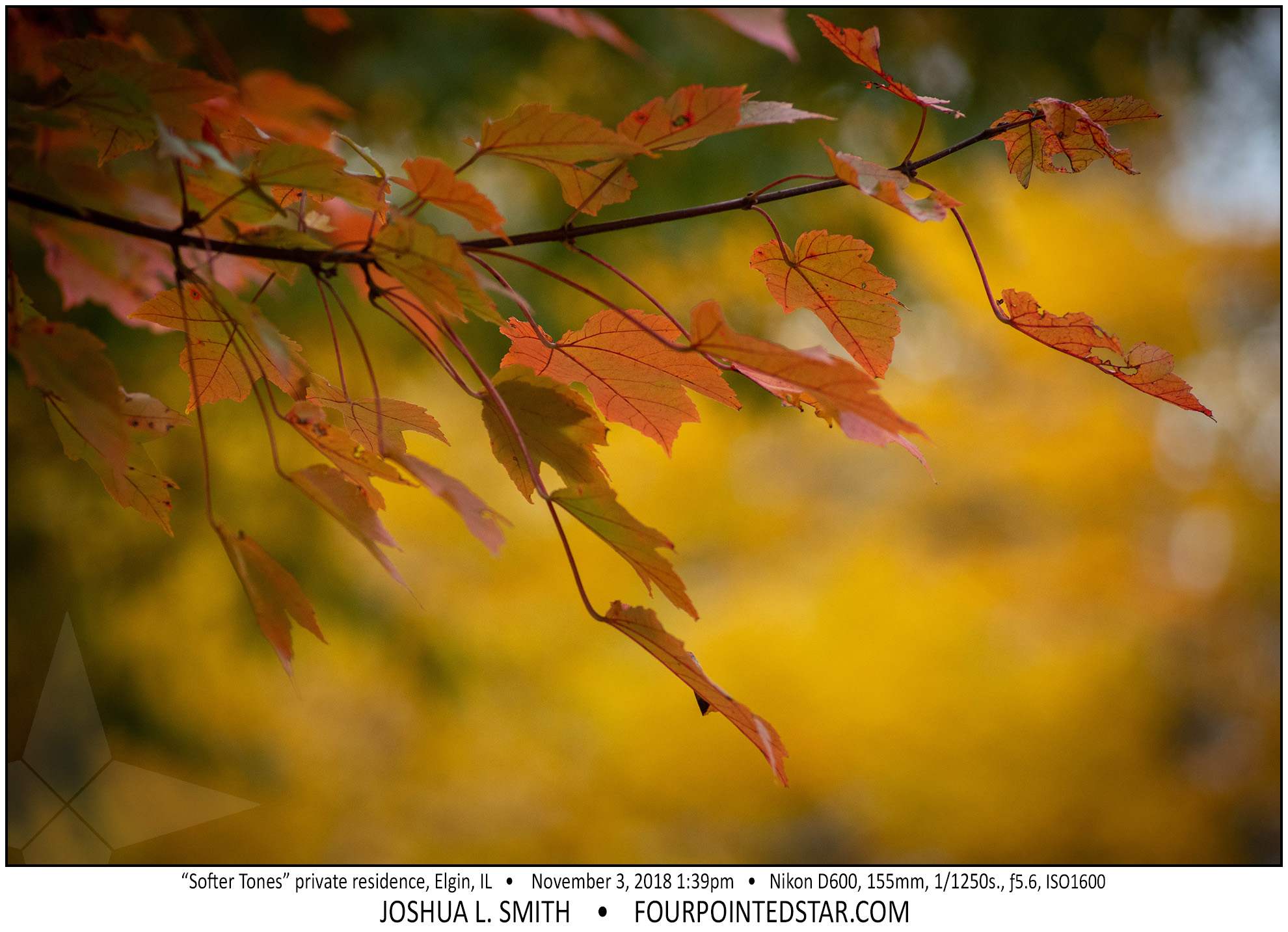 AY0955 181103 133923