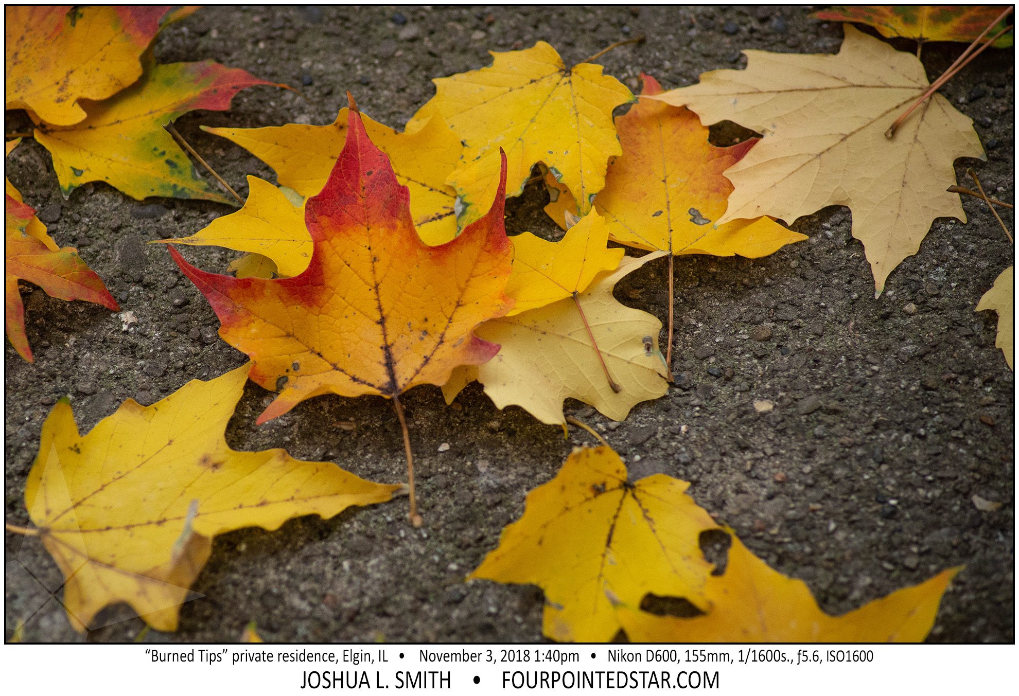 AY0958 181103 134017