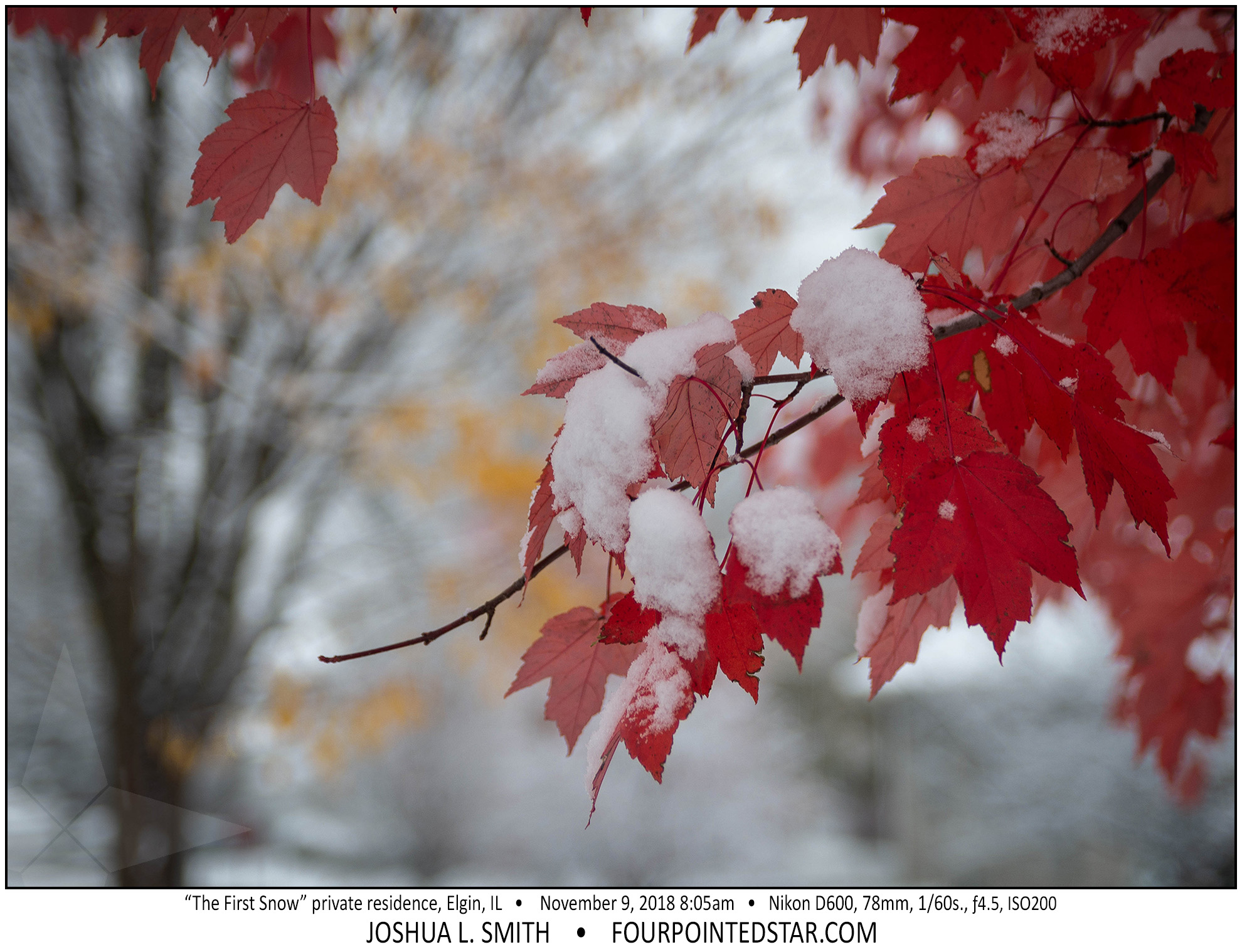 AY1190 181109 080542