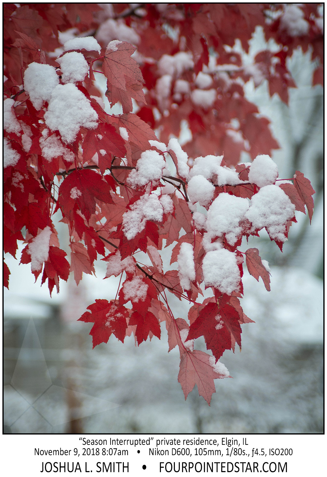 AY1208 181108 080700