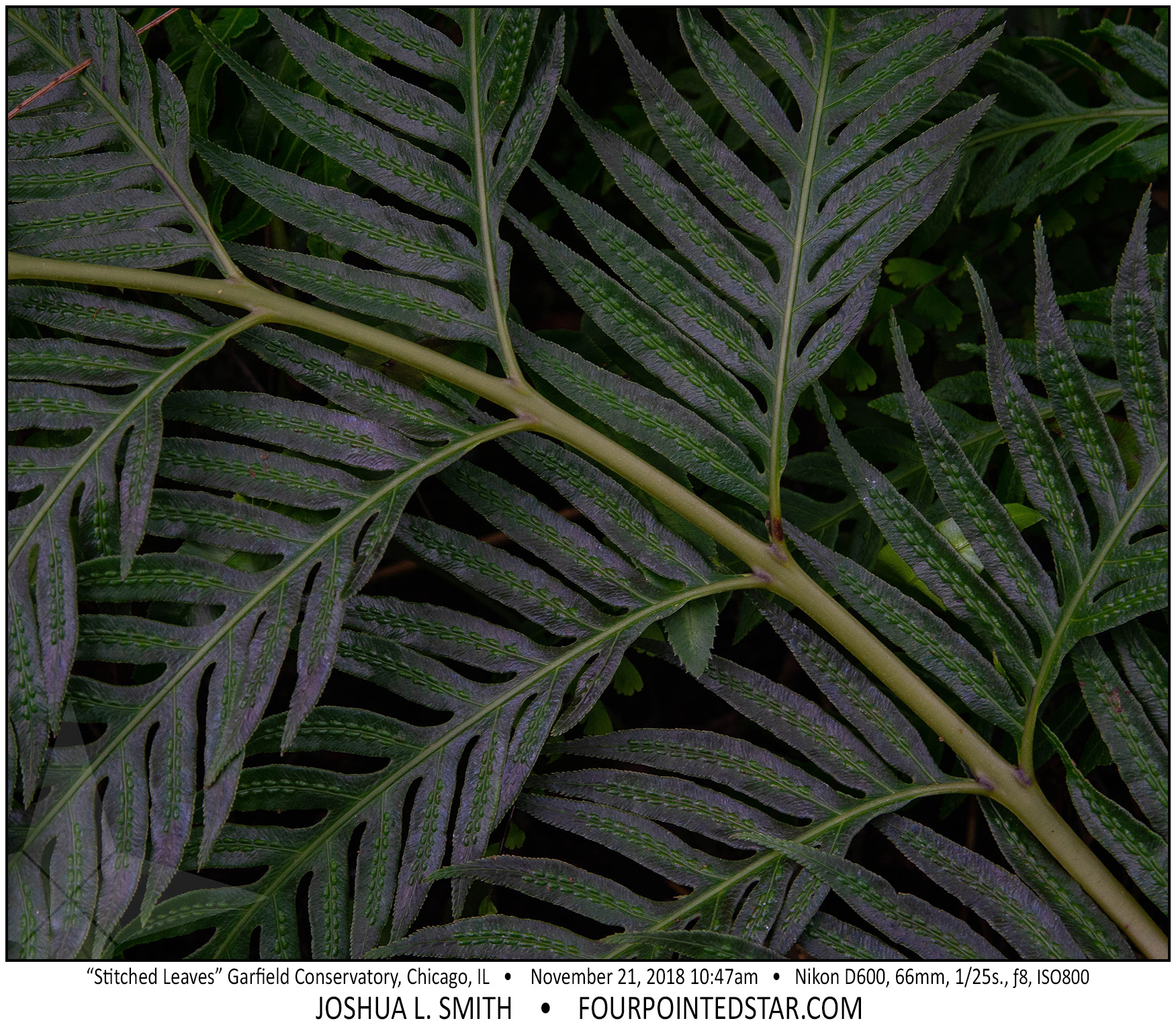 AY2005 181121 104701