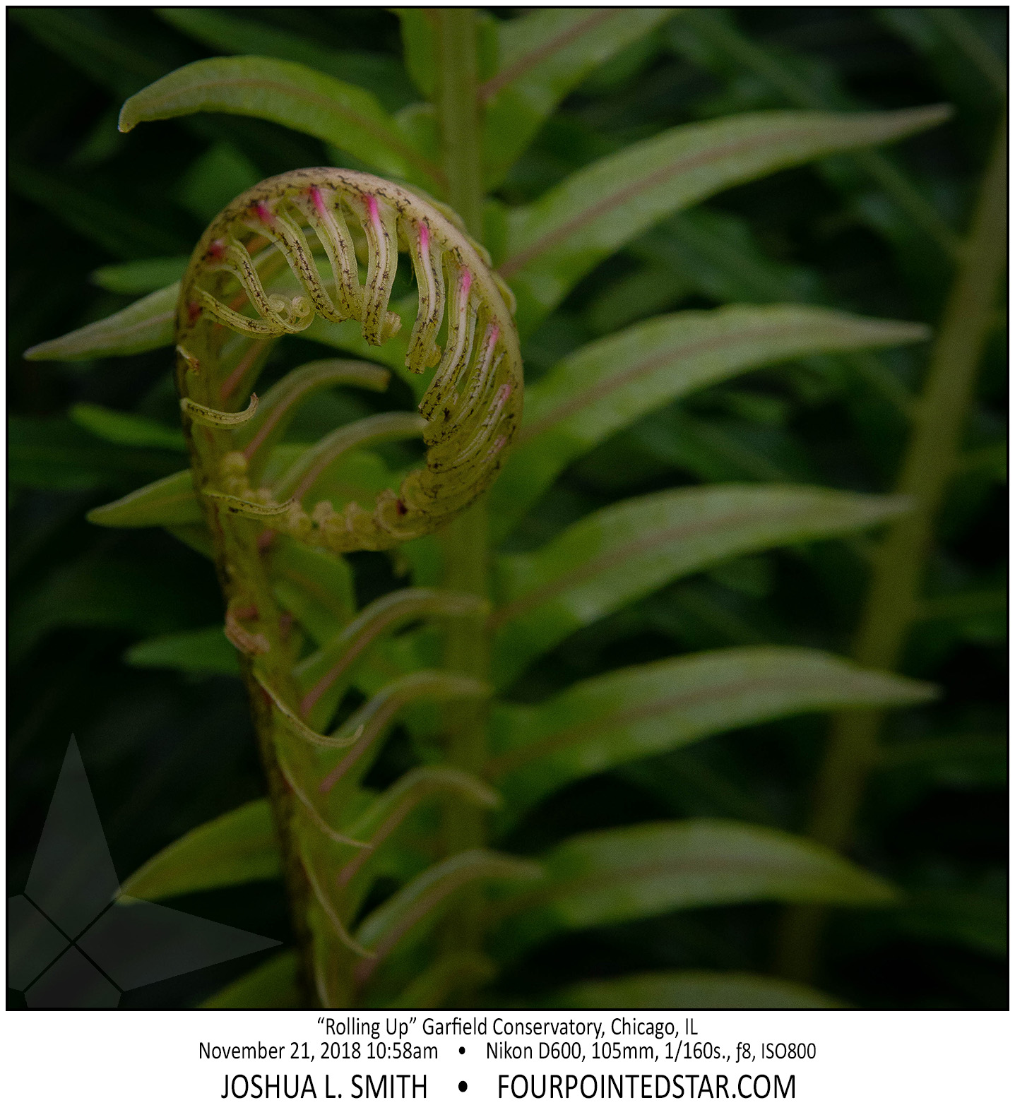 AY2062 181121 105821