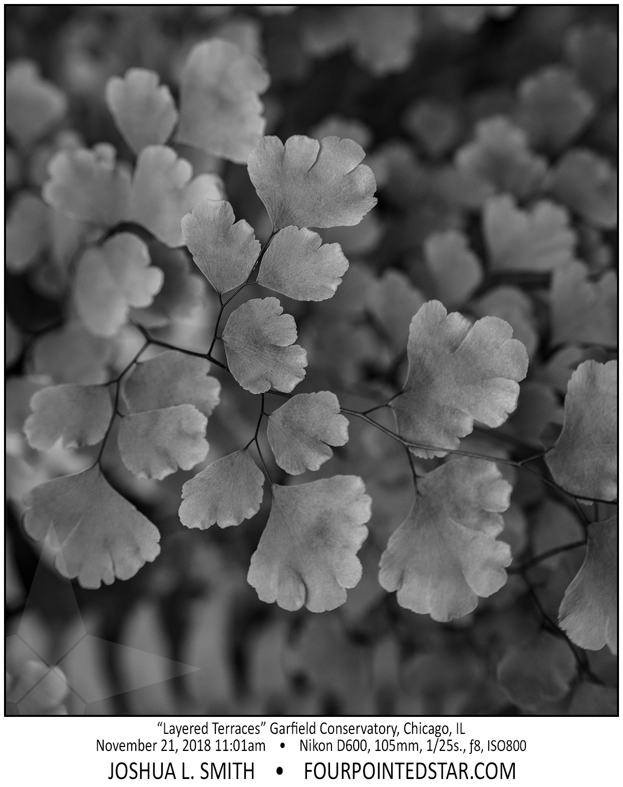 AY2097 181121 110123