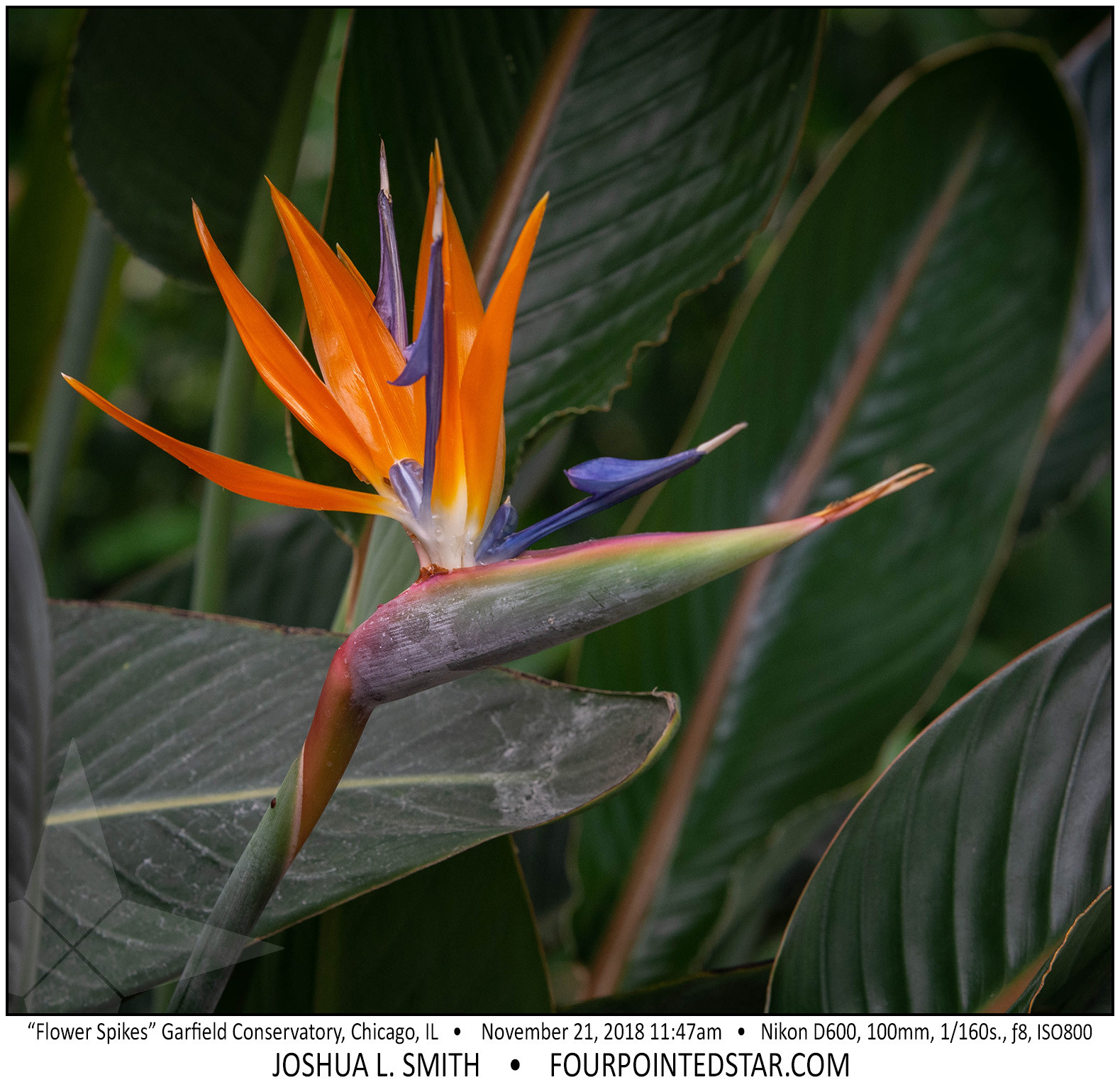 AY2125 181121 114741