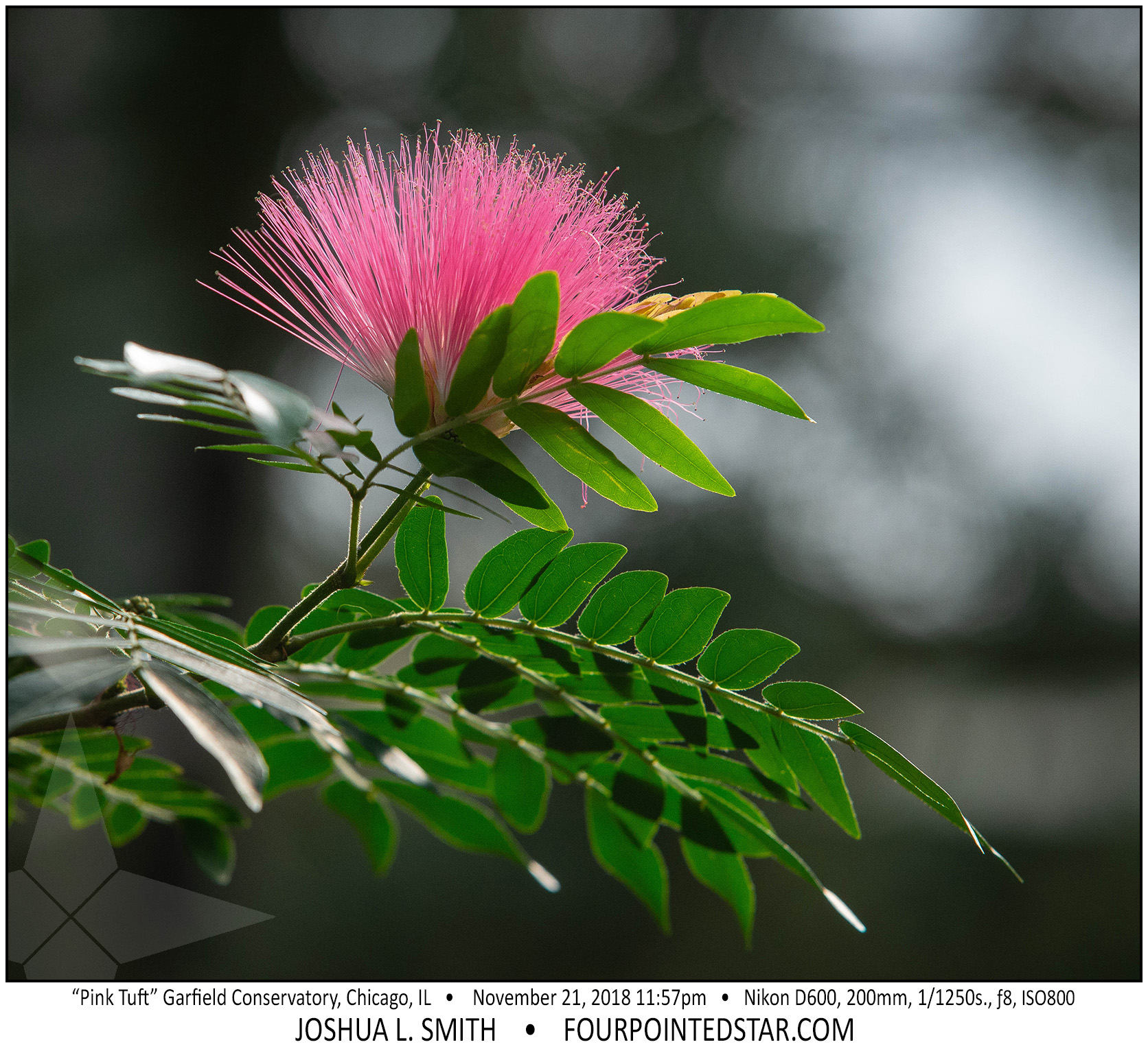 AY2146 181121 115713