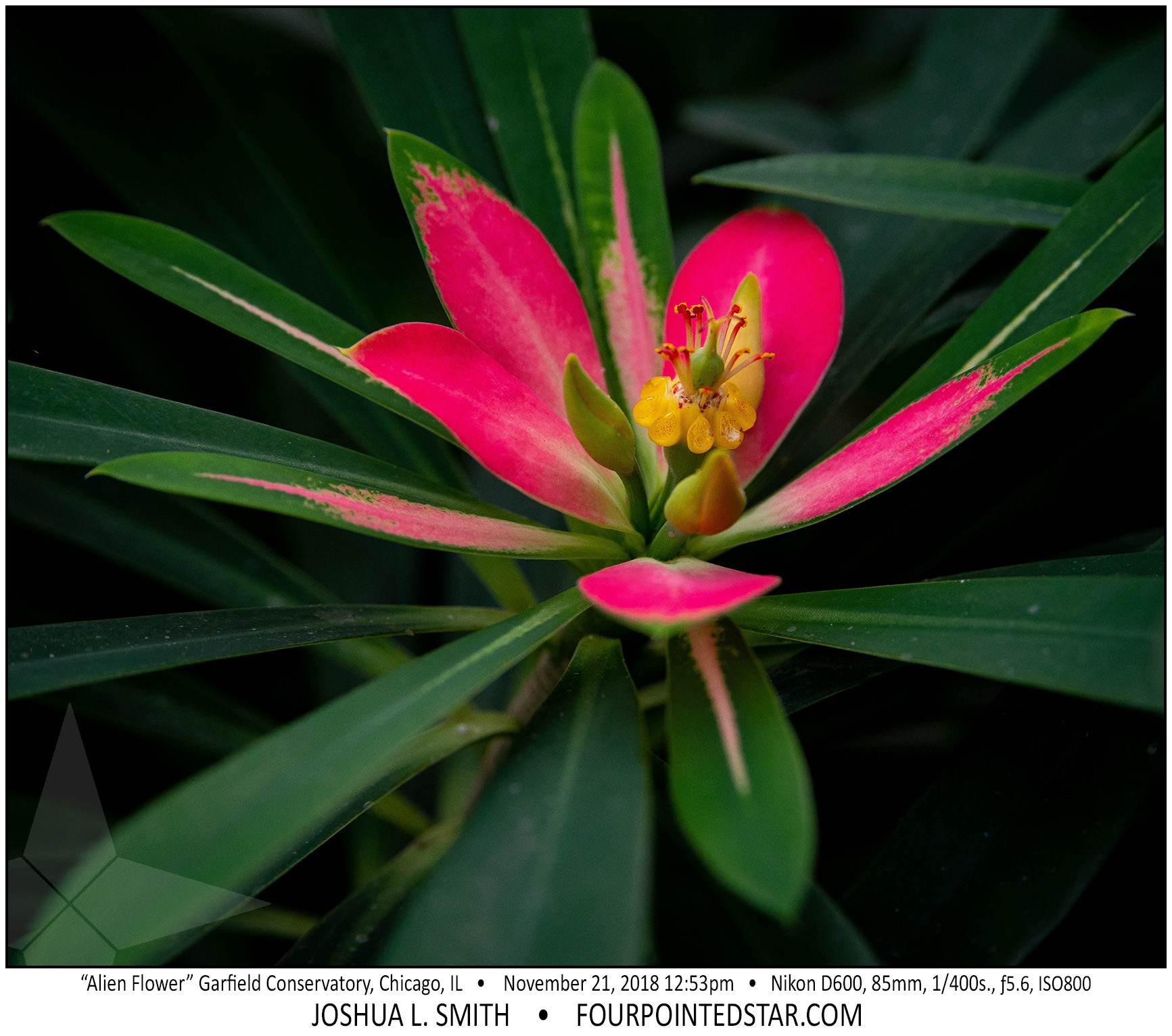 AY2287 181121 125301