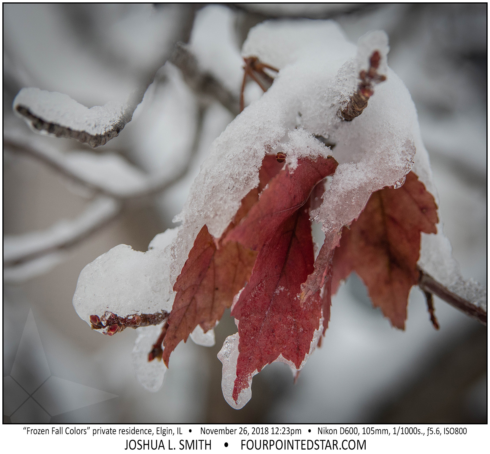 AY2318 181126 122354