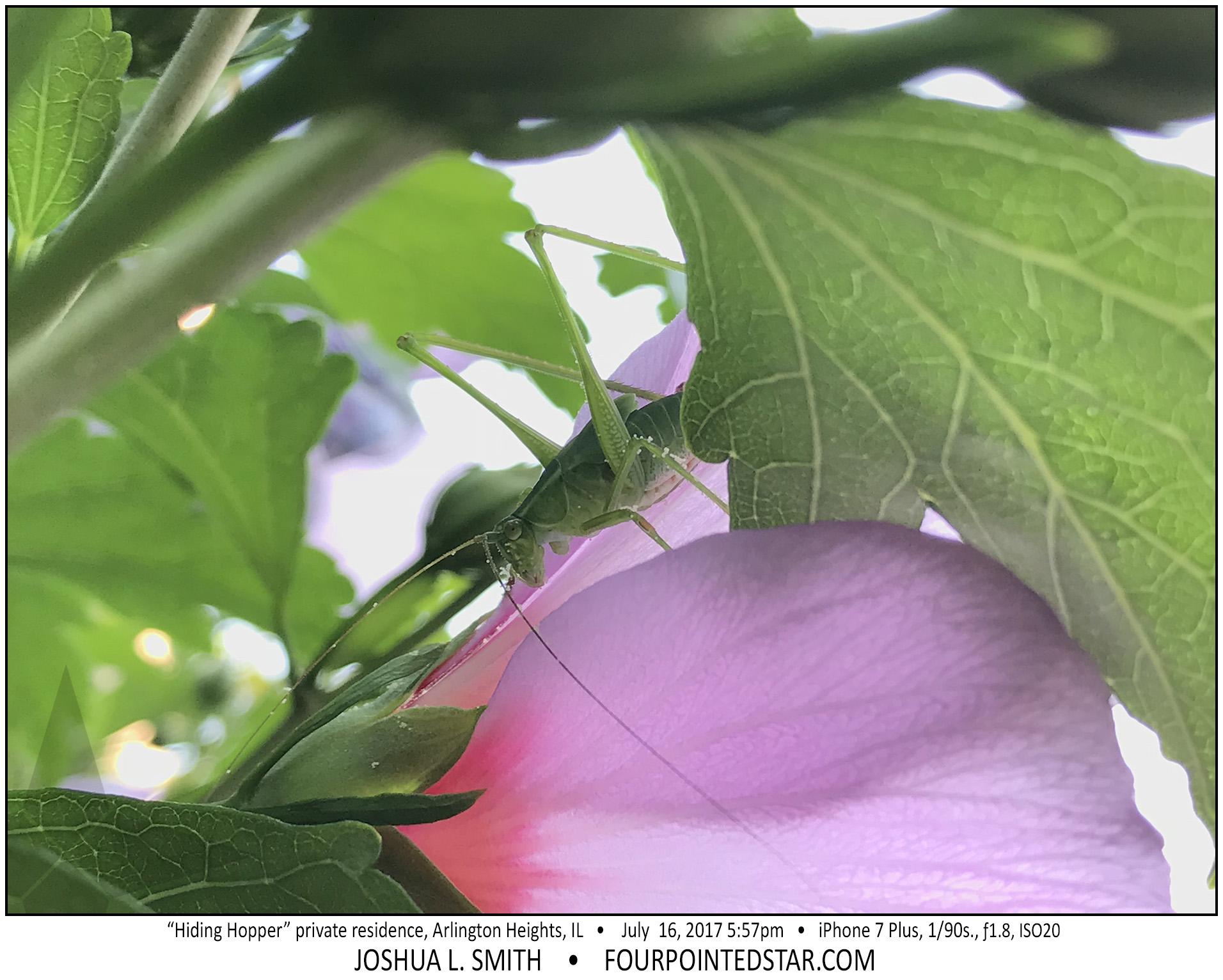 AQ6417 170716 175742