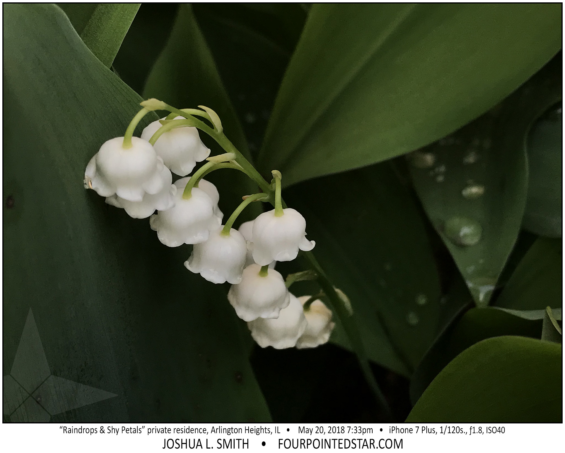 AW2980 180520 193335