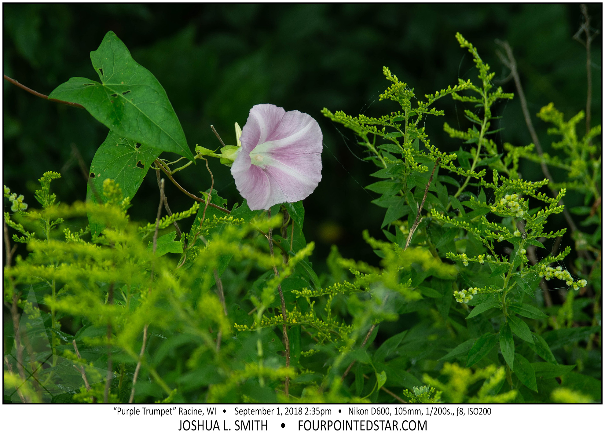 AX5862 180901 143533