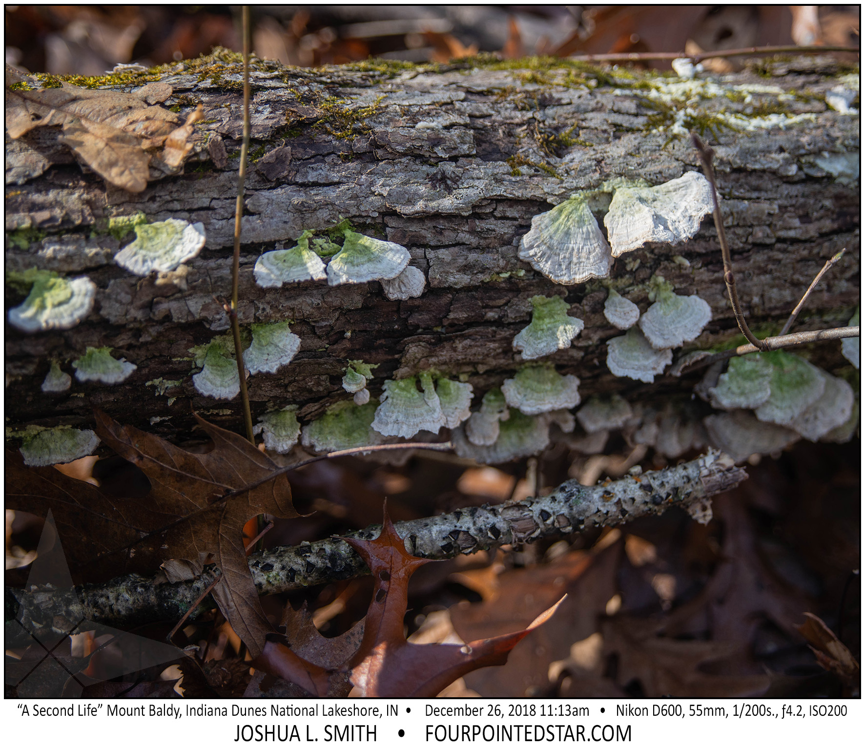 AY3497 181226 111349