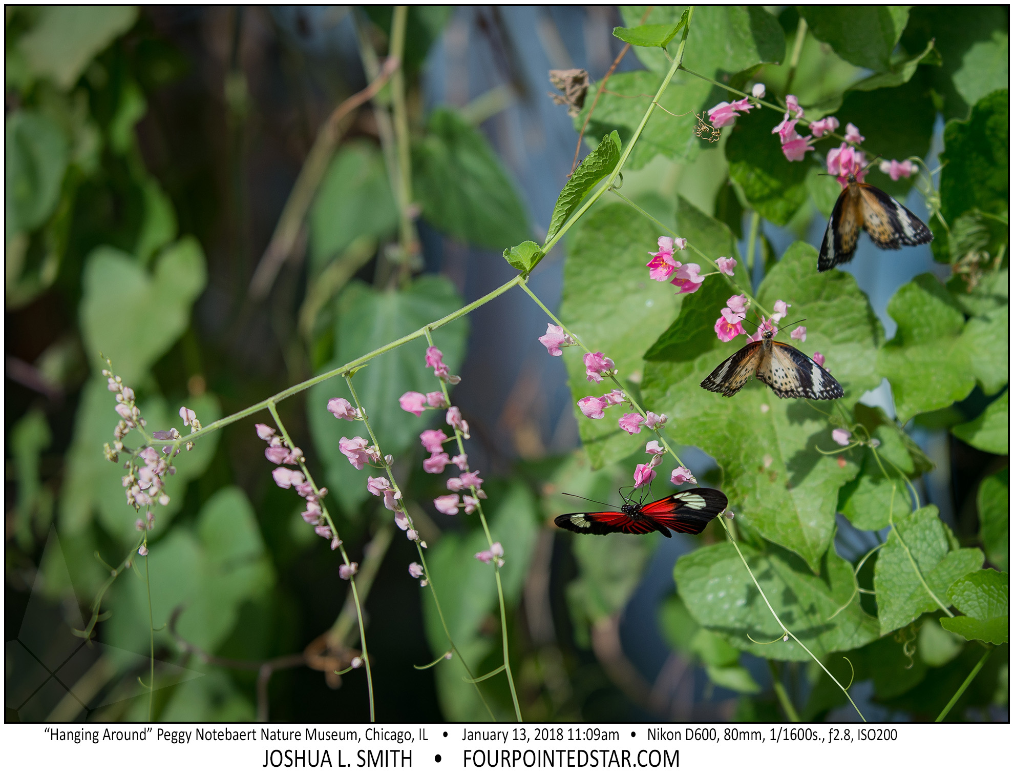 AT6514 180113 110938