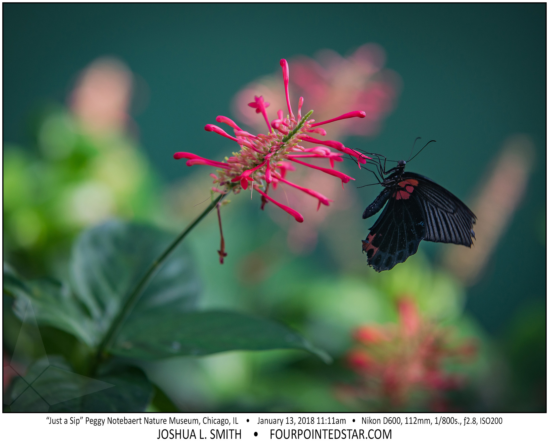 AT6542 180113 111109