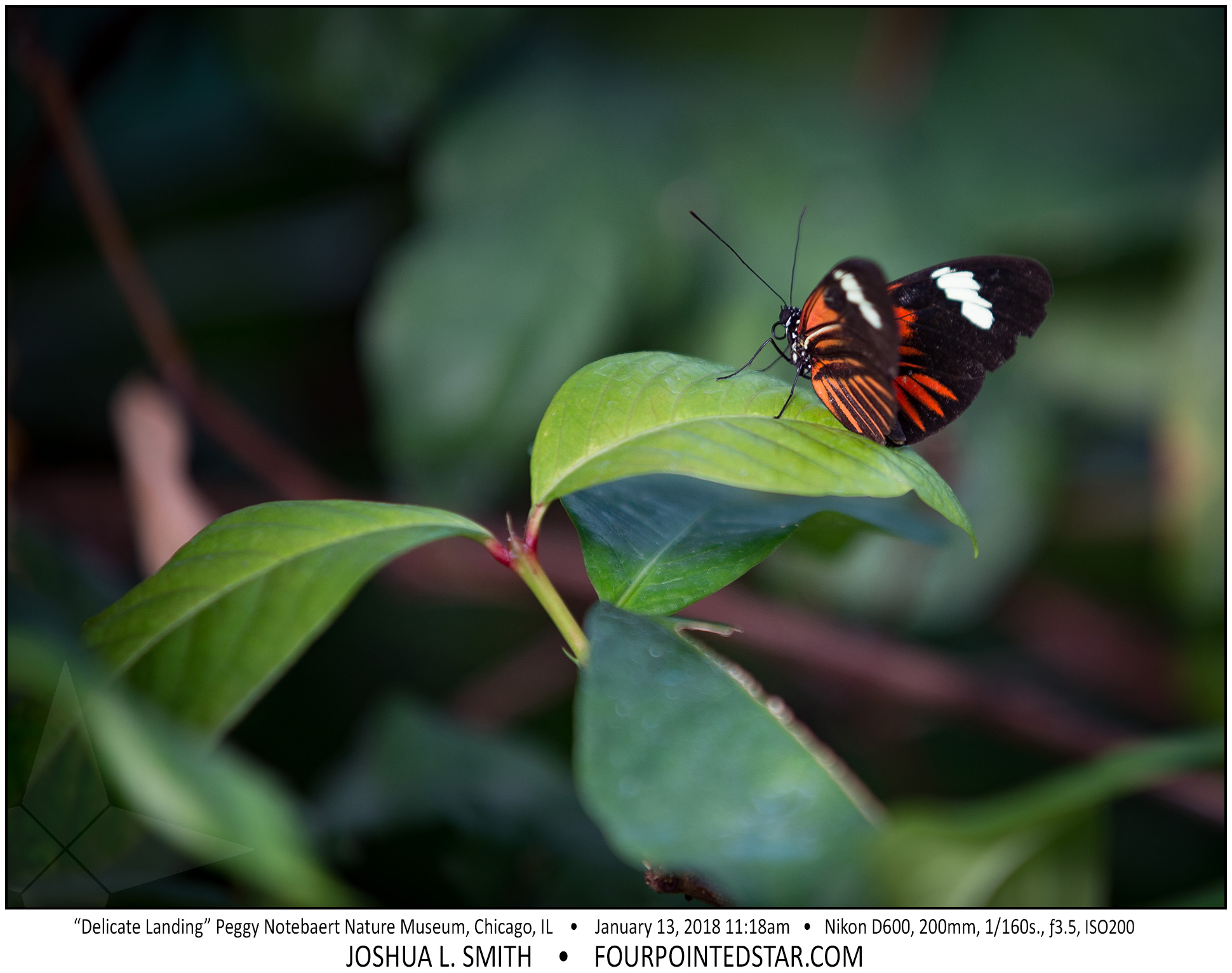 AT6575 180113 111847