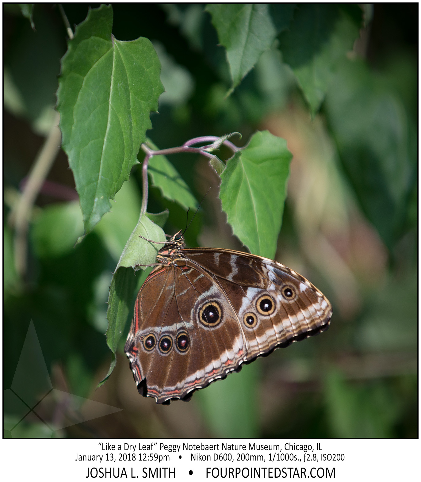 AT6647 180113 125936