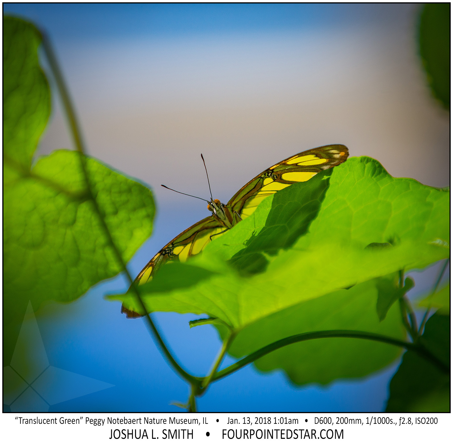 AT6670 180113 130111