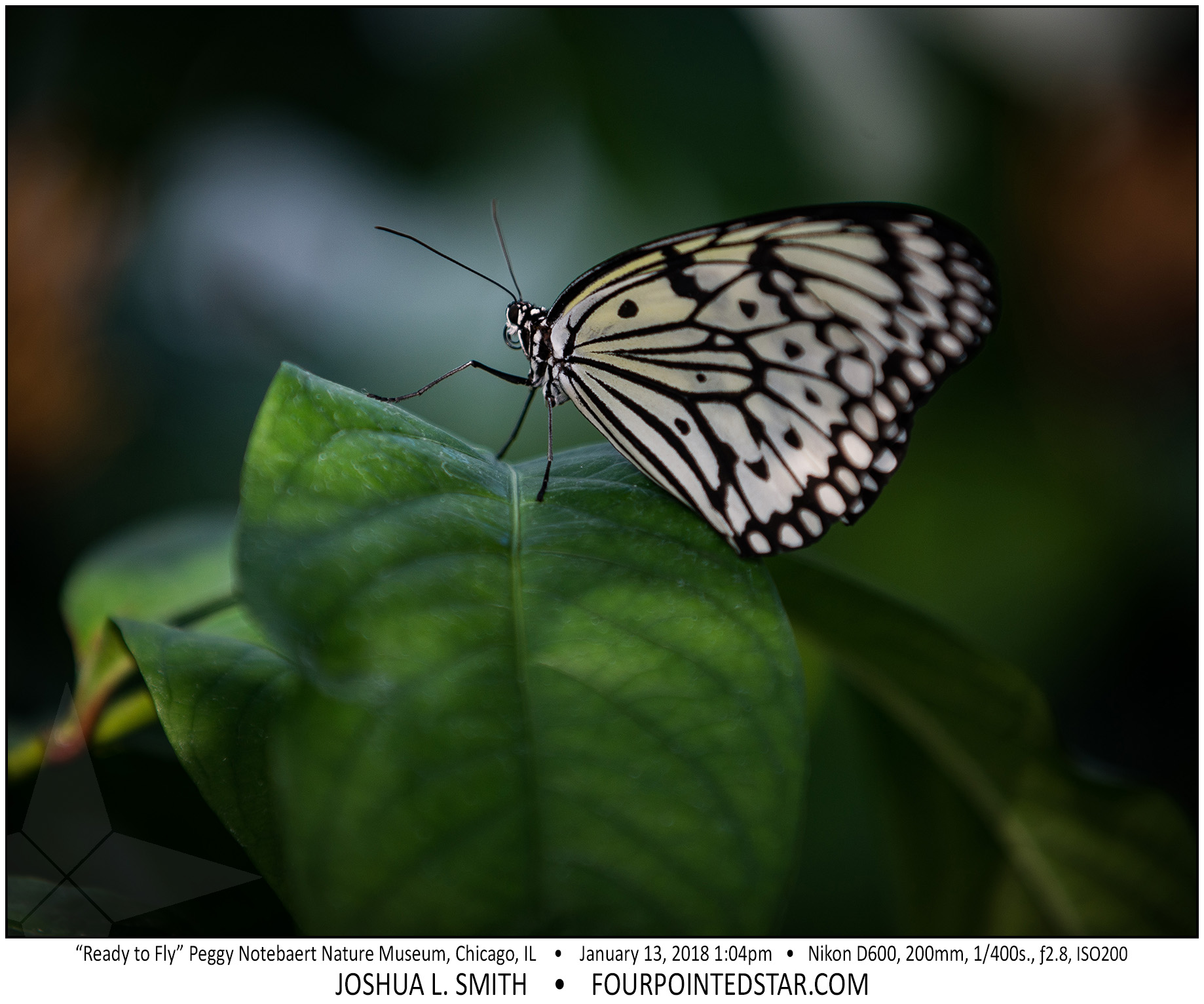 AT6710 180113 130409