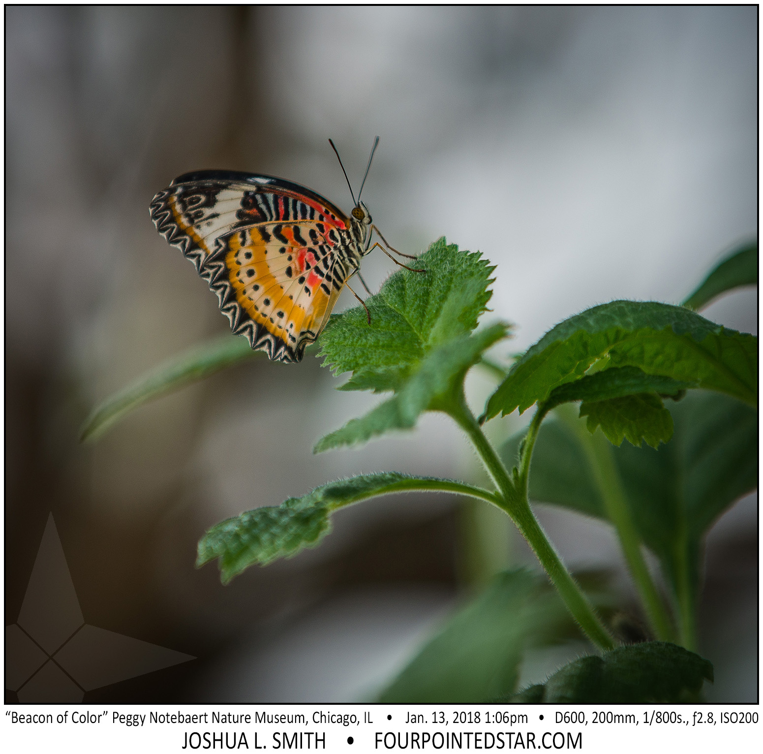 AT6736 180113 130619