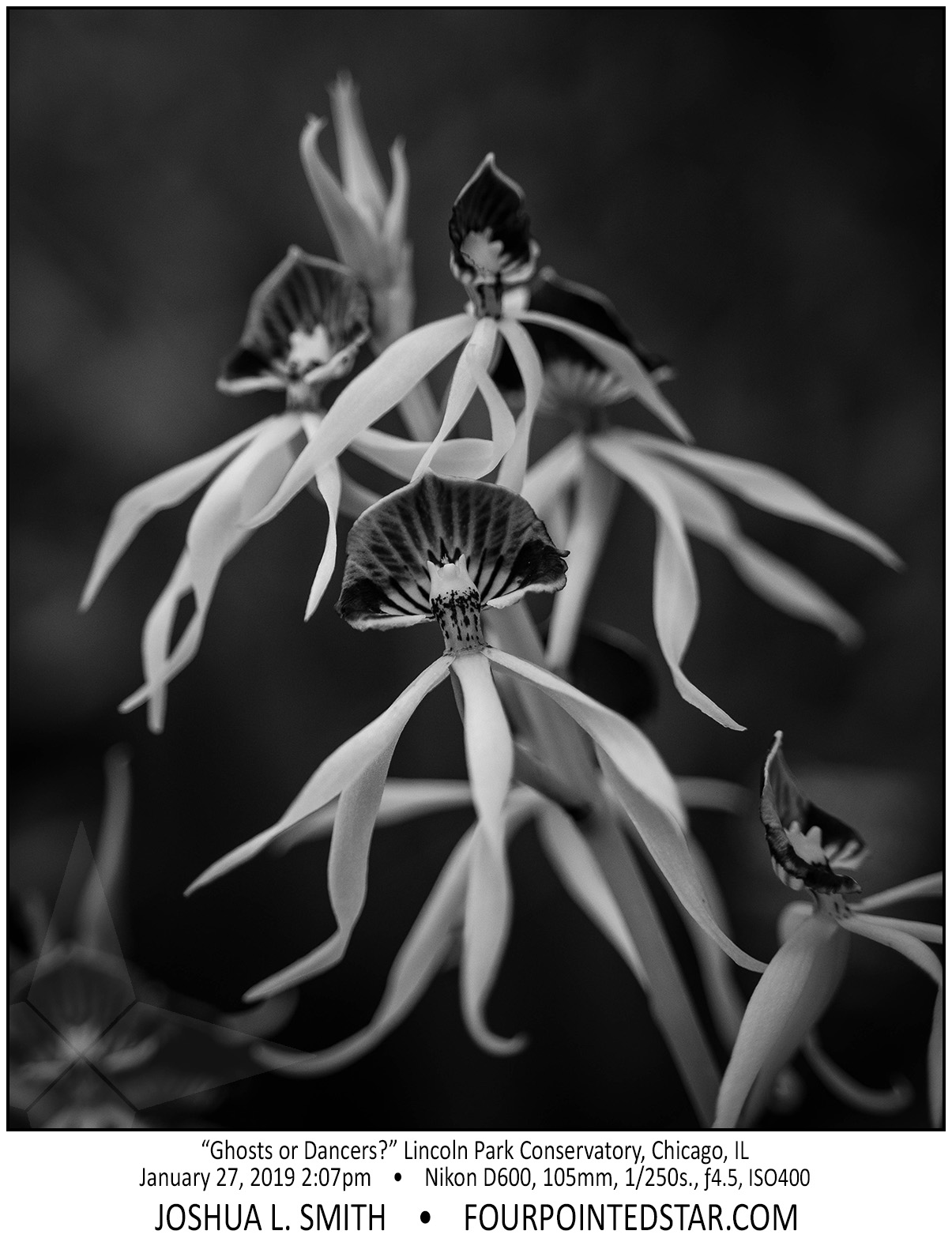 AY4816 190127 140705