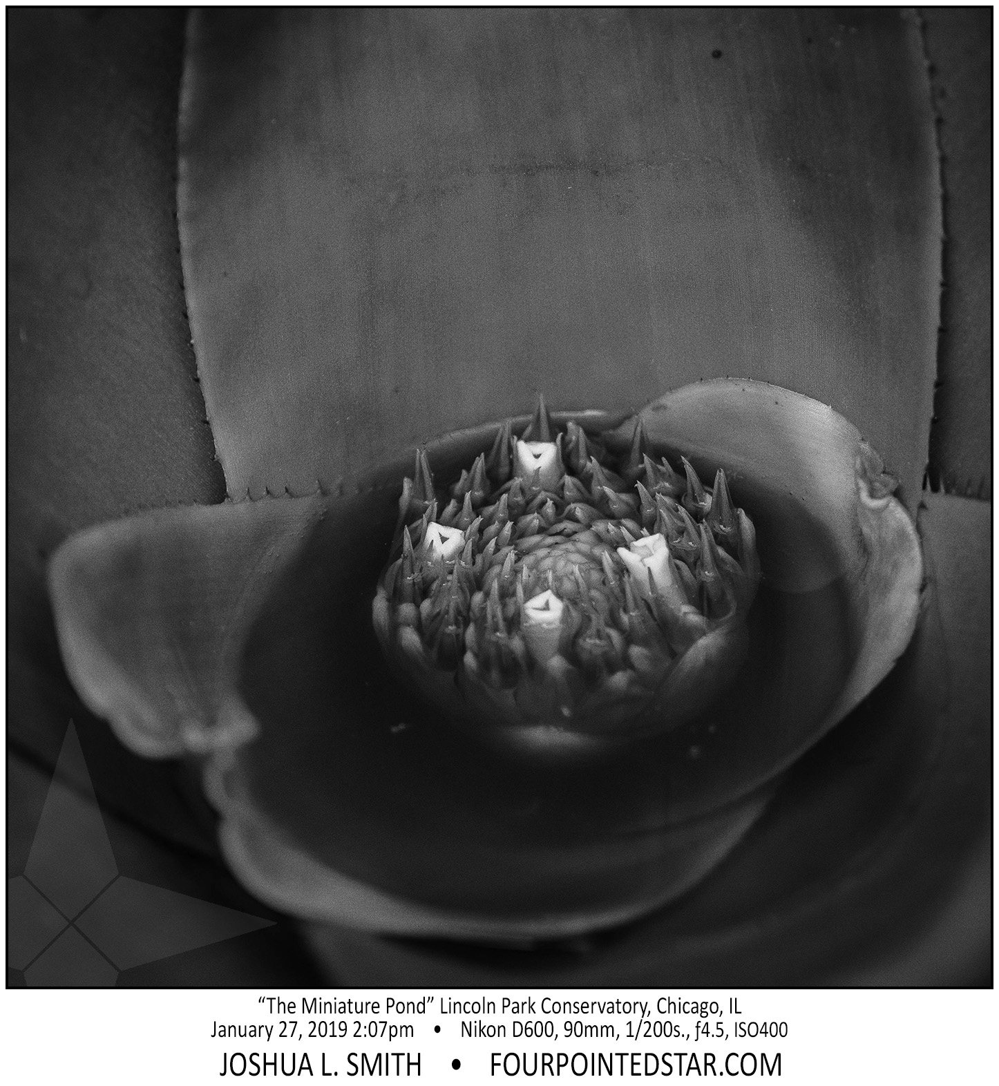 AY4822 190127 140749