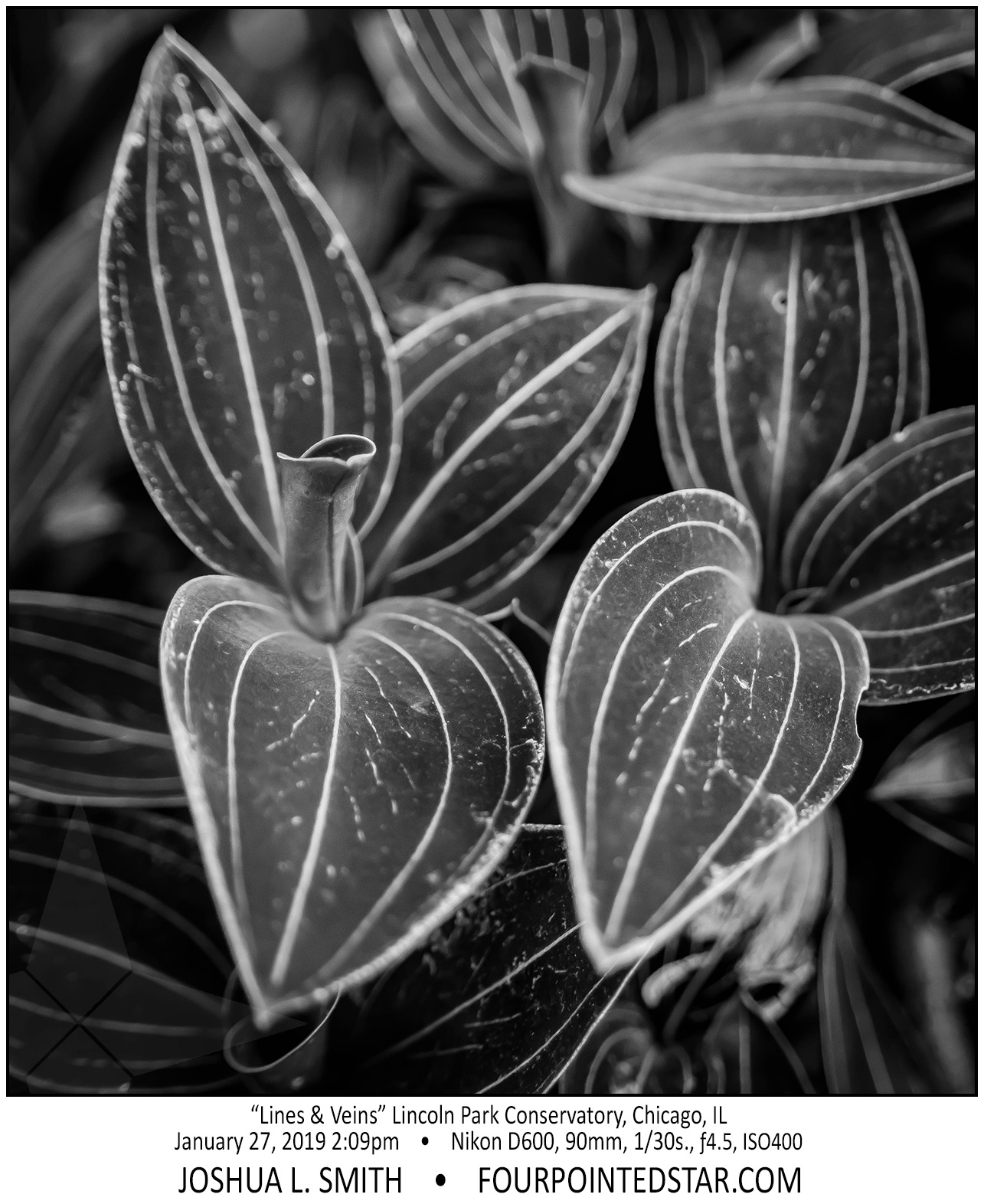 AY4849 190127 140943