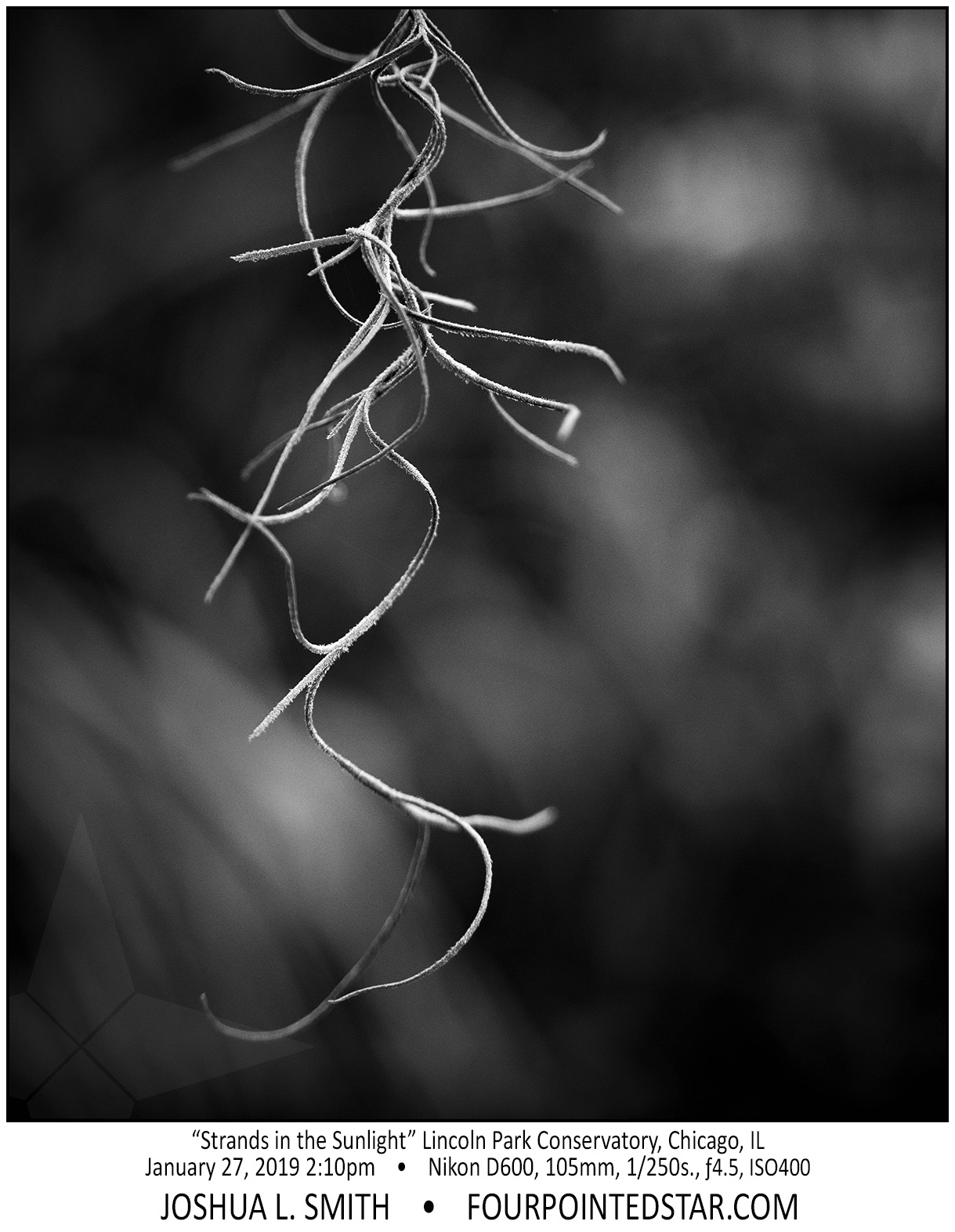 AY4867 190127 141032