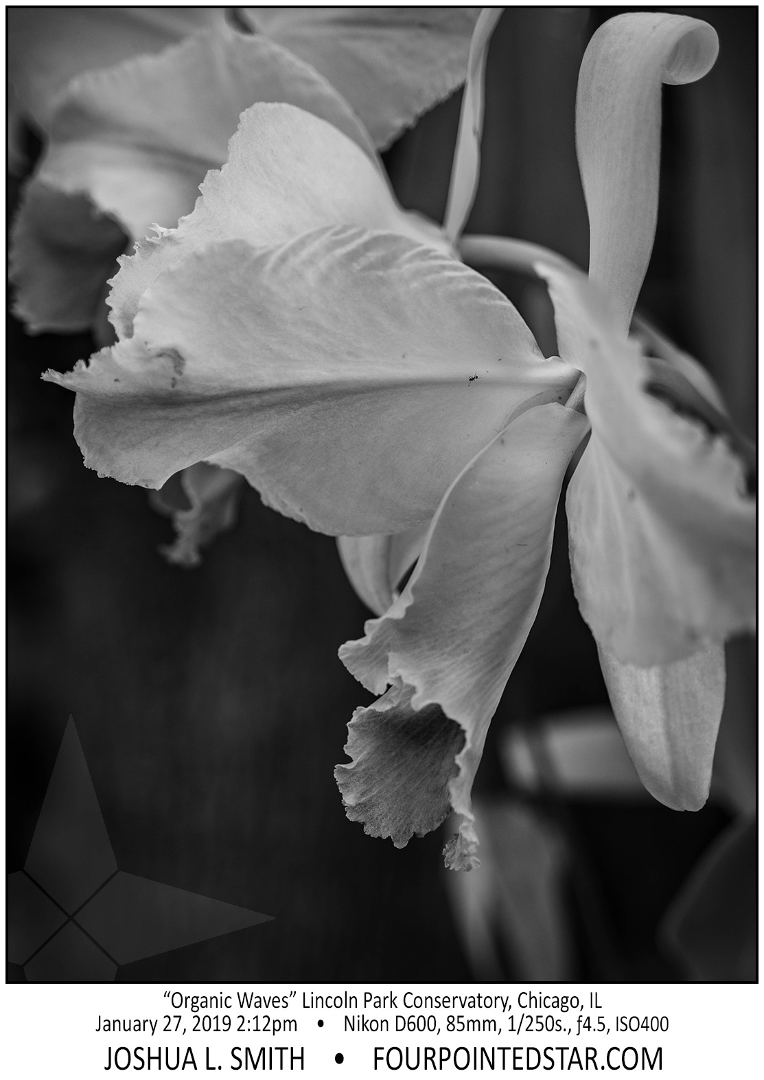 AY4882 190127 141227