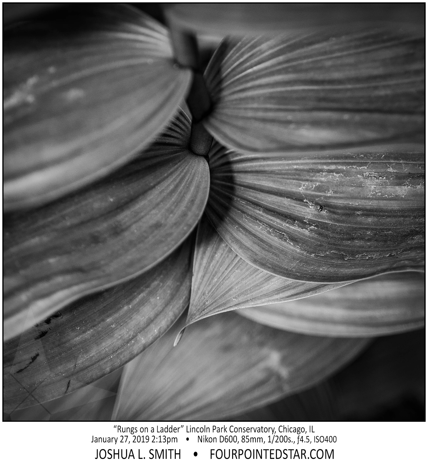 AY4890 190127 141309