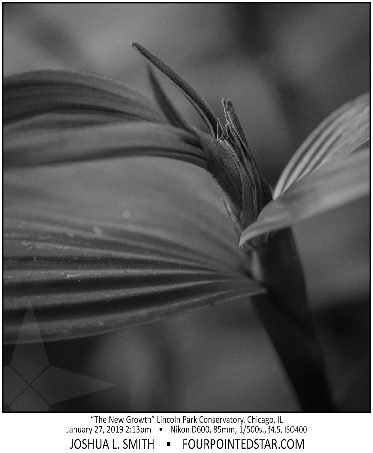 AY4897 190127 141326