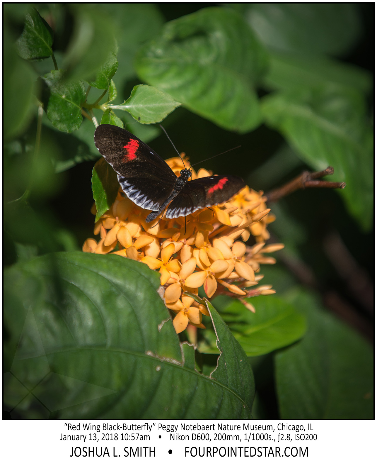 AT6370 180113 105724