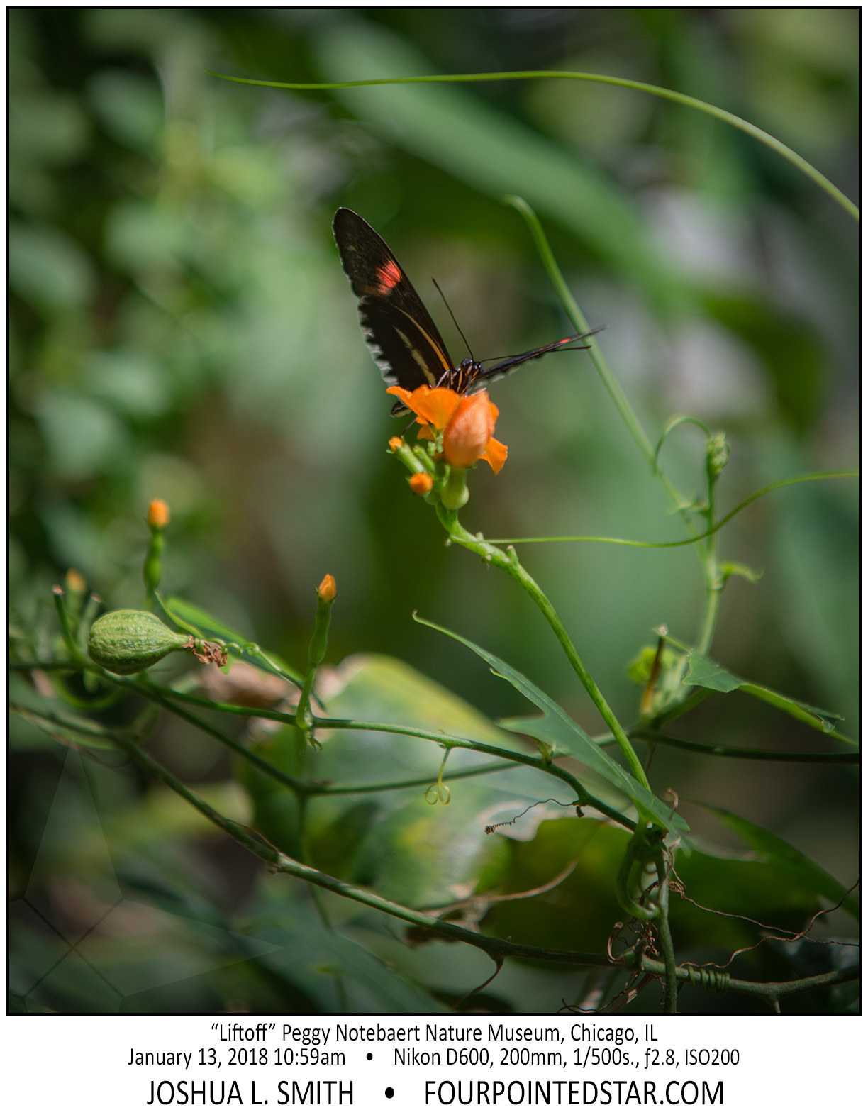 AT6391 180113 105923