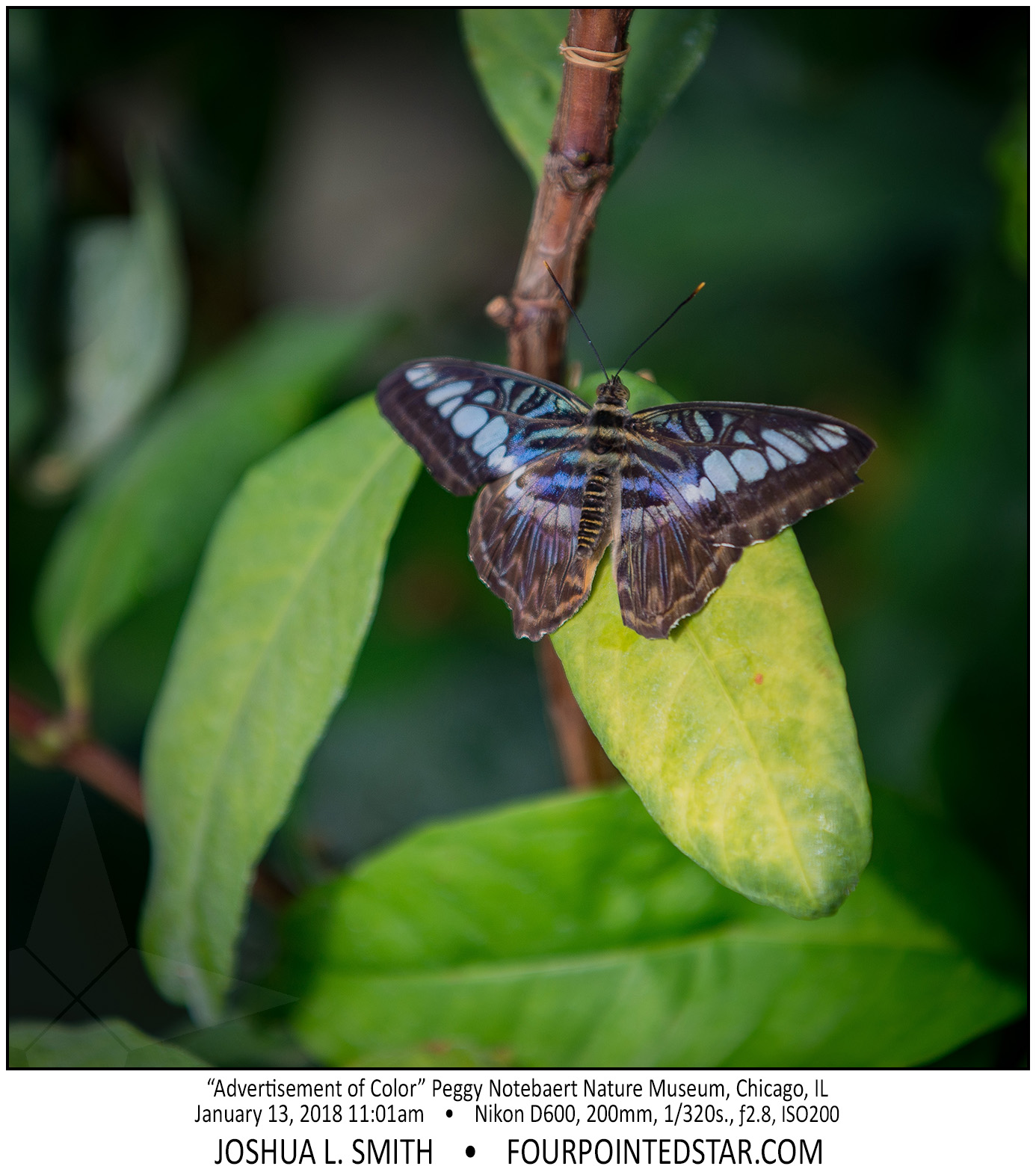 AT6409 180113 110109